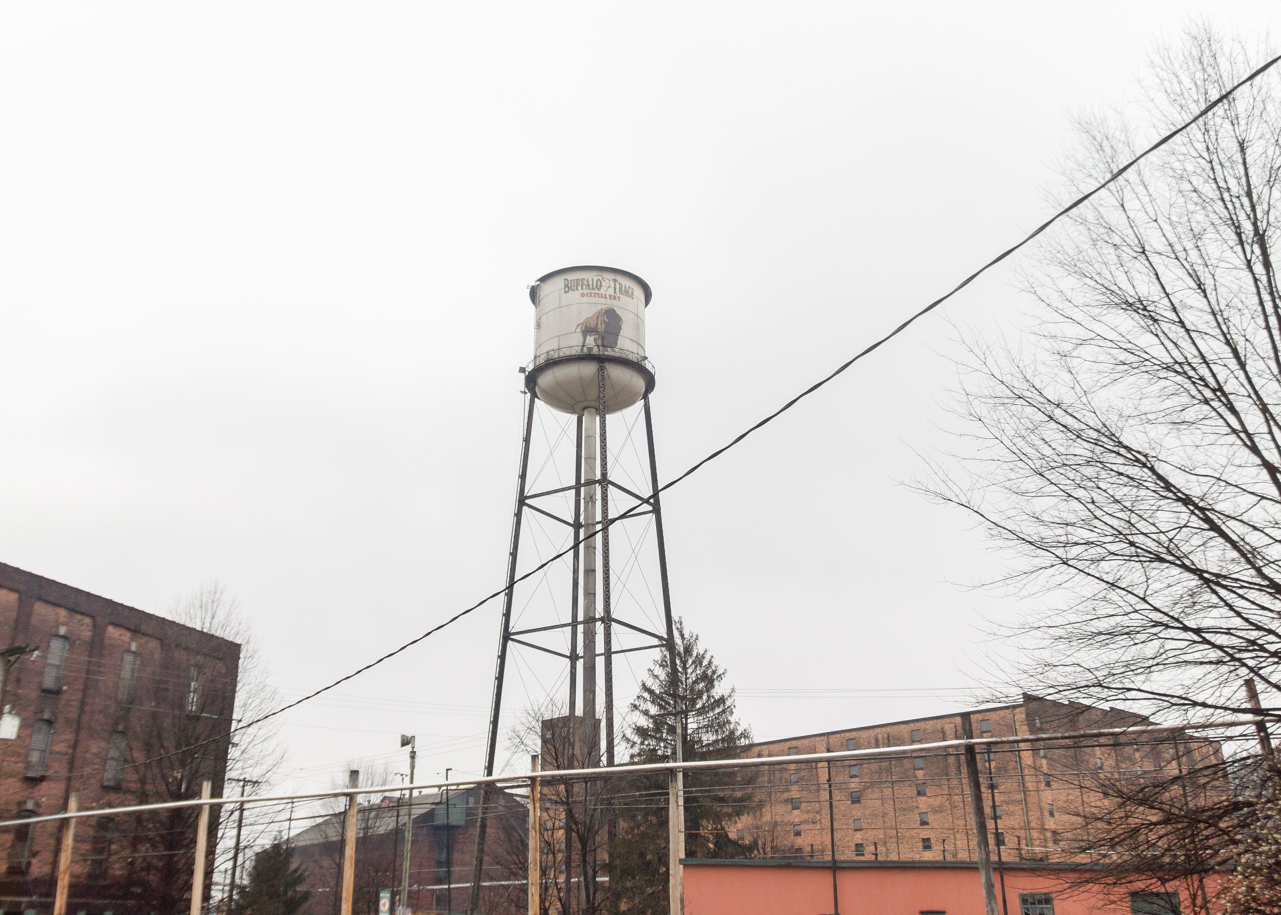 BuffaloTrace_Done-19.jpg