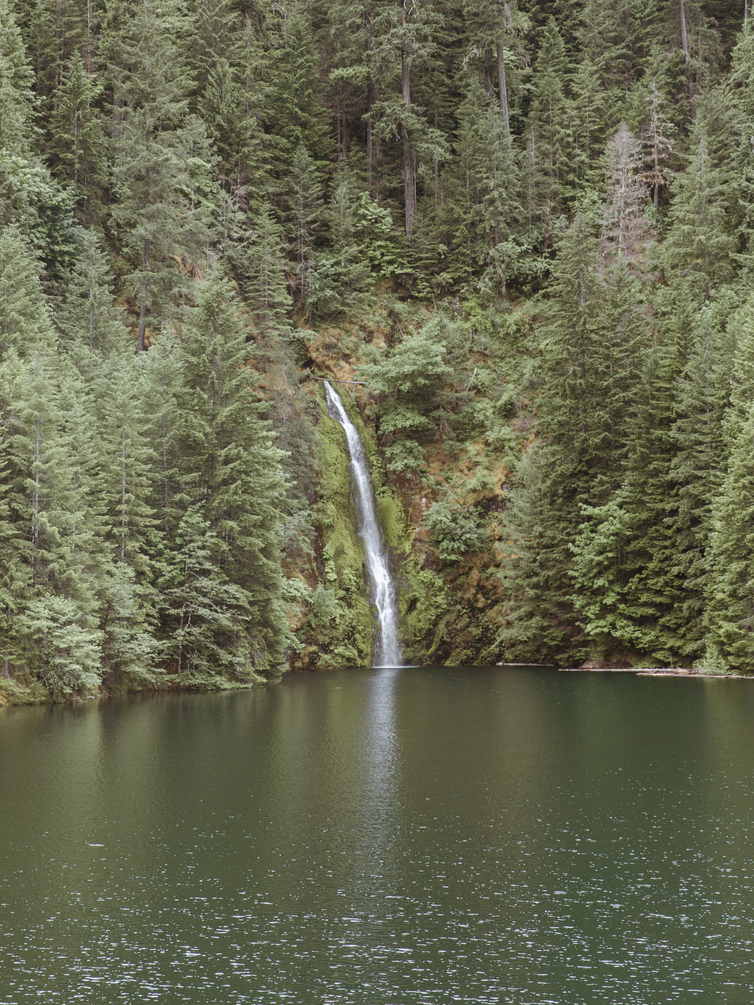 Pacific Northwest-17.jpg