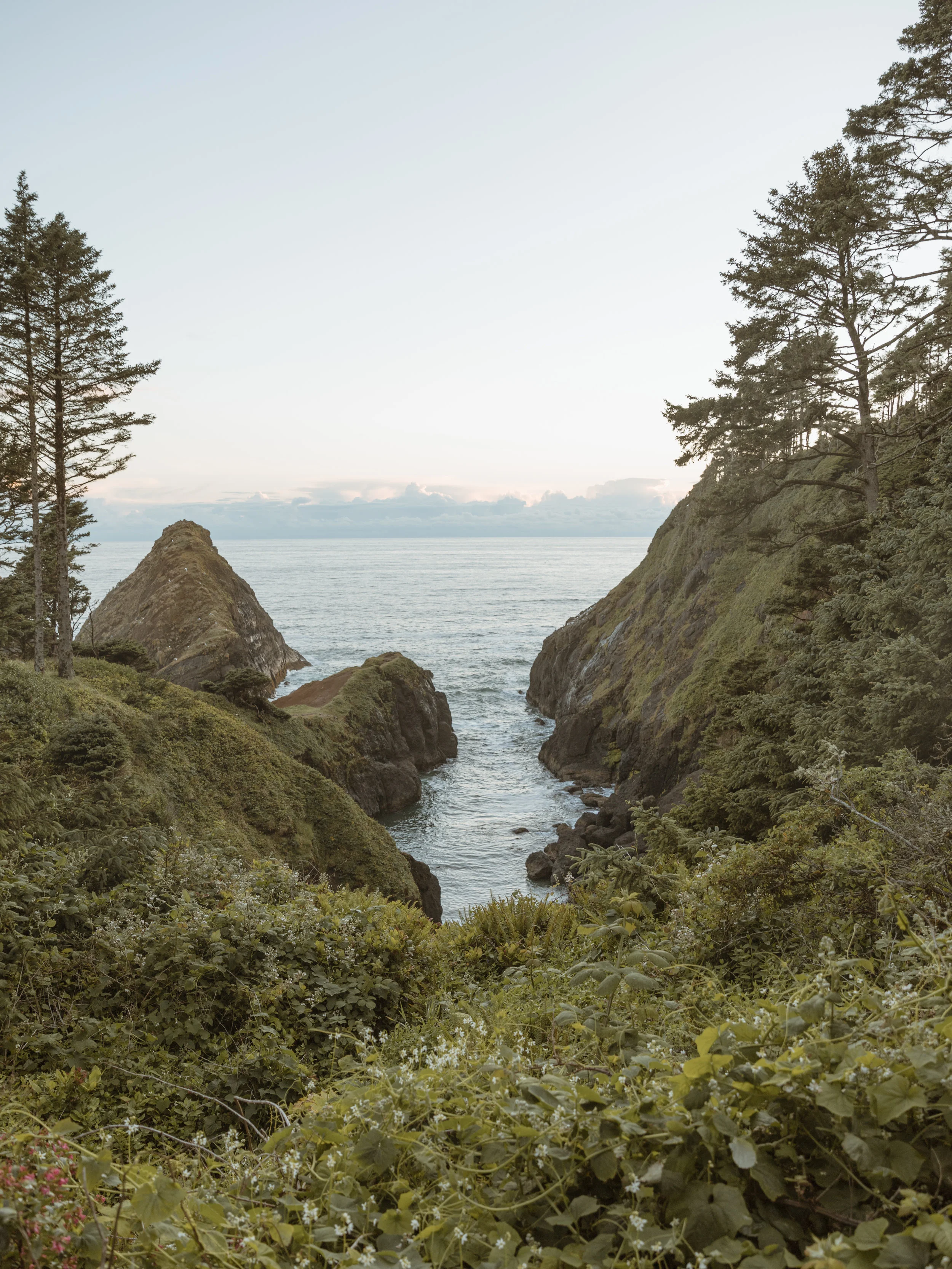 Pacific Northwest-24.jpg