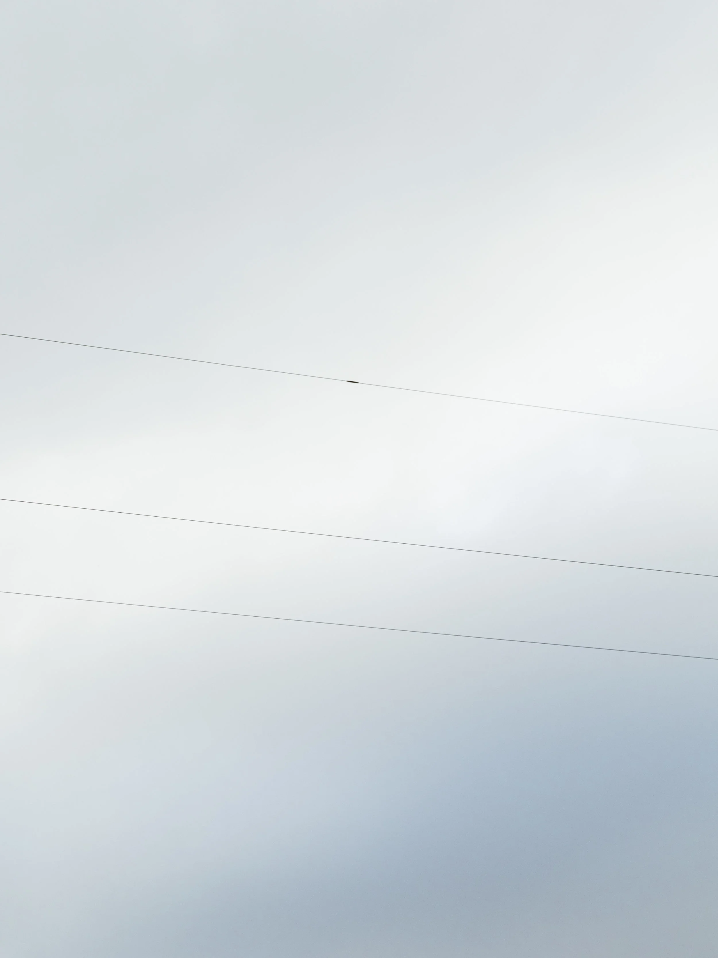 Pacific Northwest-7.jpg