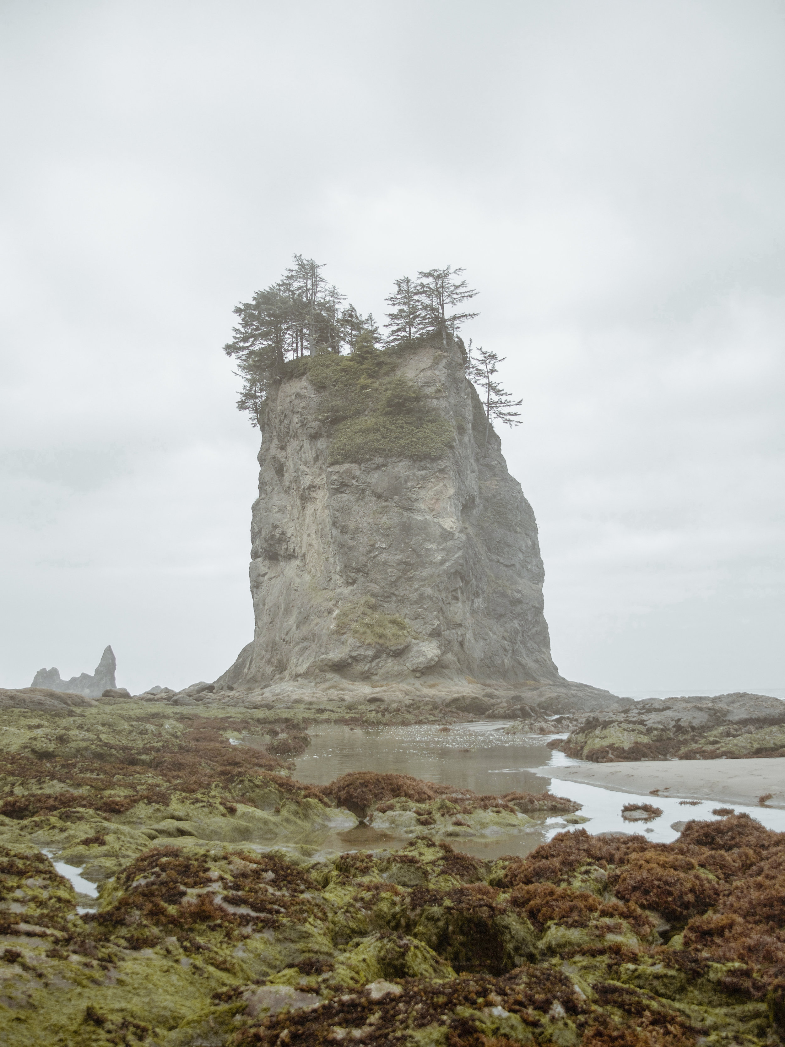 Pacific Northwest-19.jpg