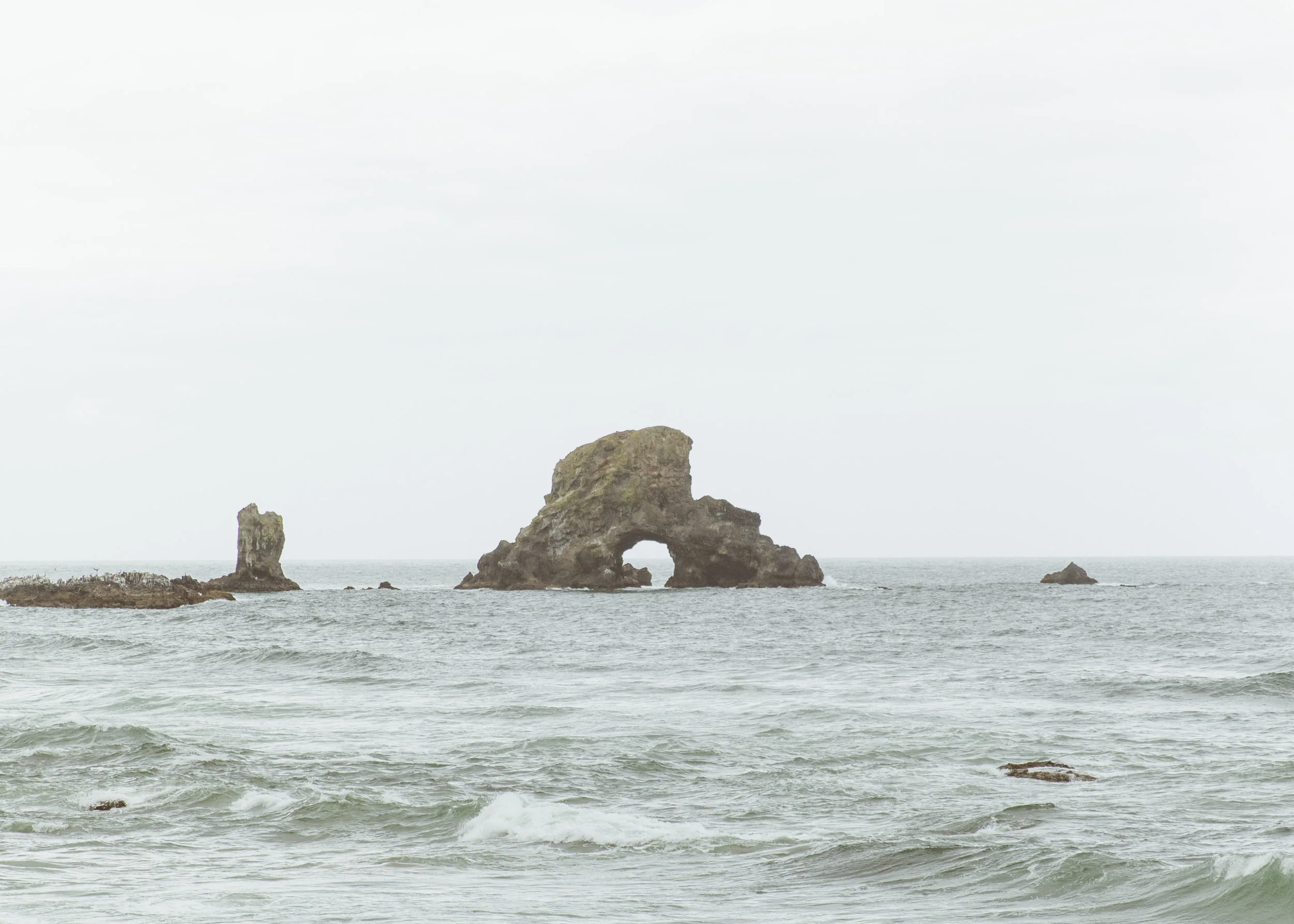 Pacific Northwest-18.jpg