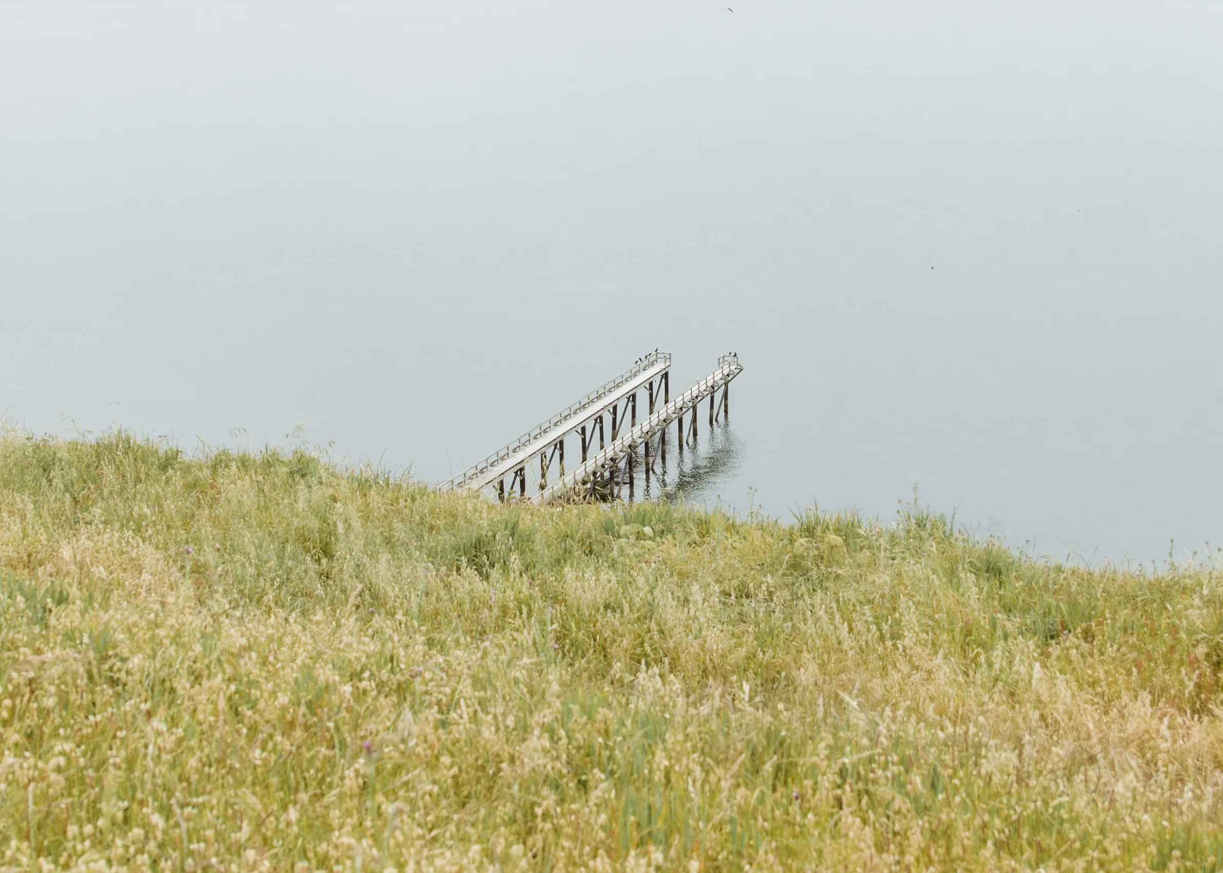 Pacific Northwest-16.jpg