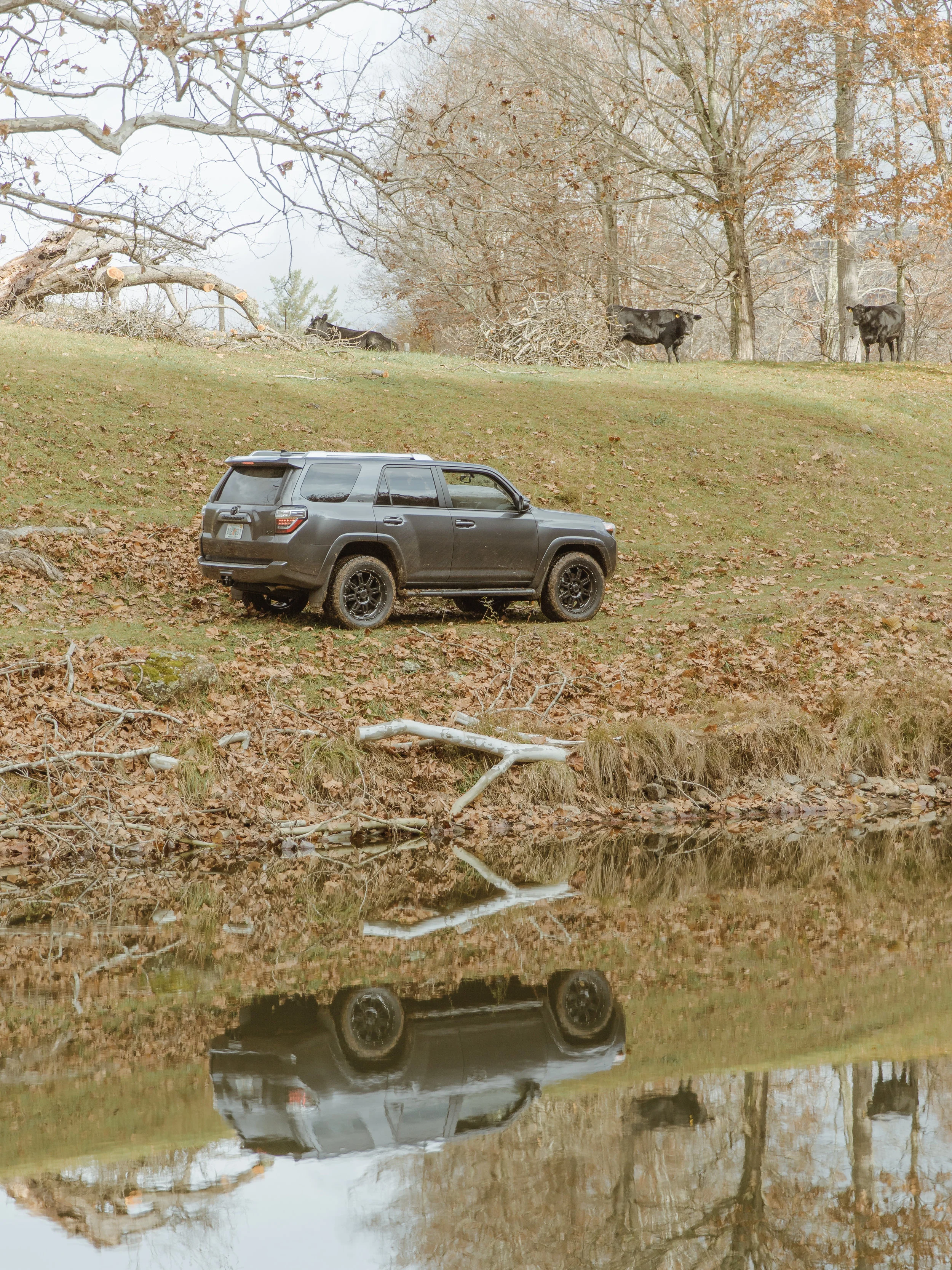 Toyota_Done-7.jpg