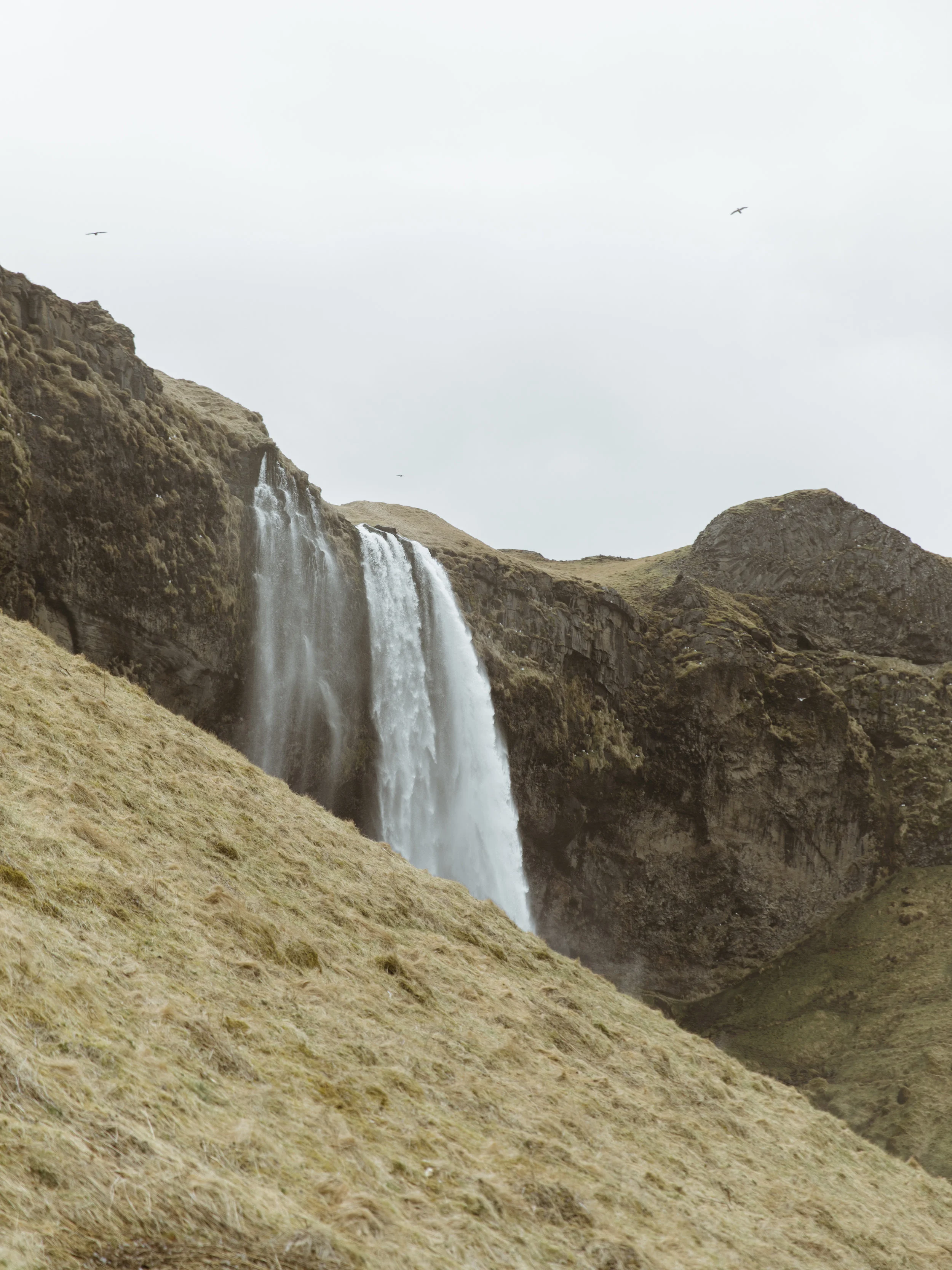 Iceland-14.jpg
