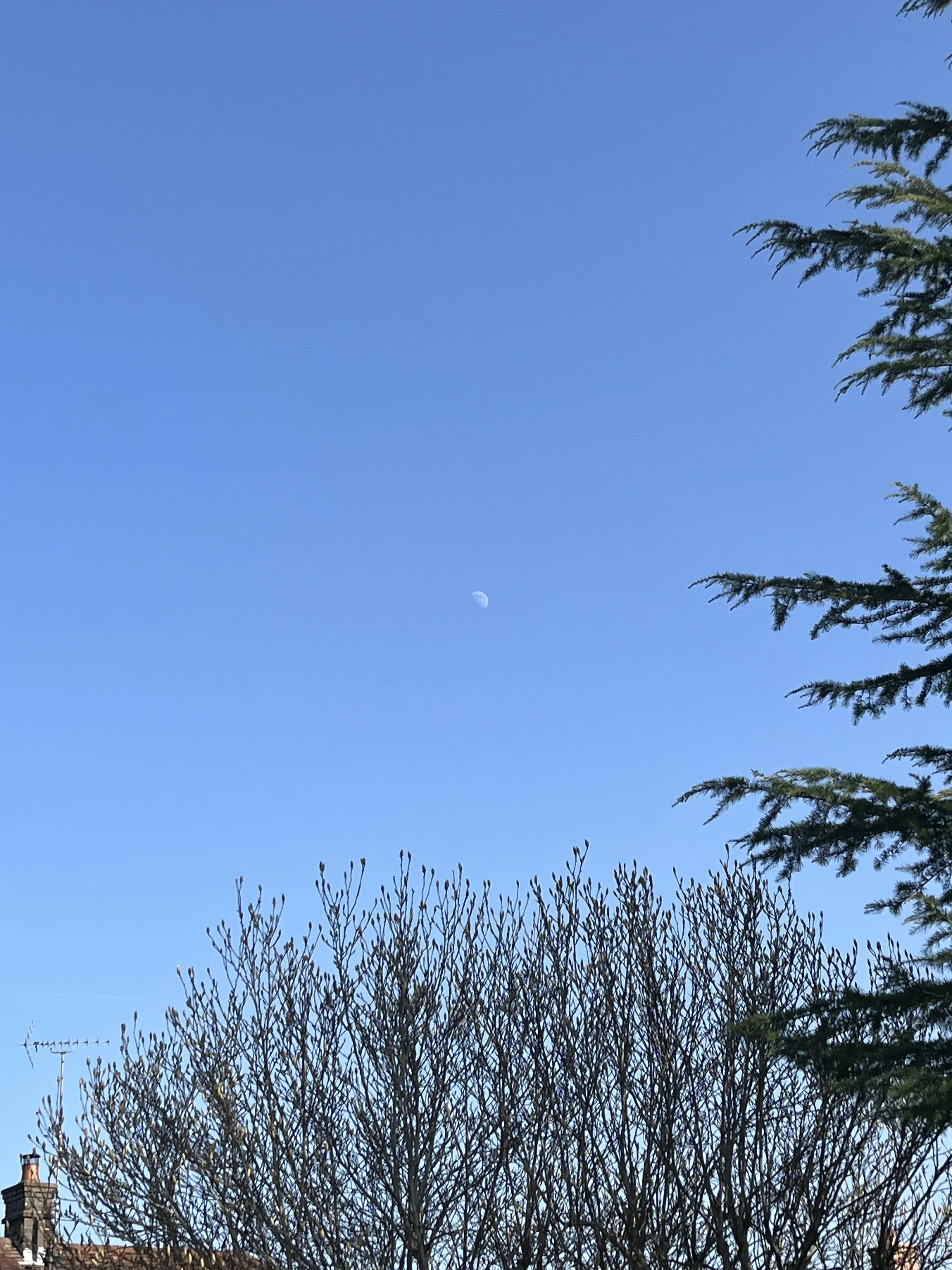 Full Moon Lunar Eclipse is coming…