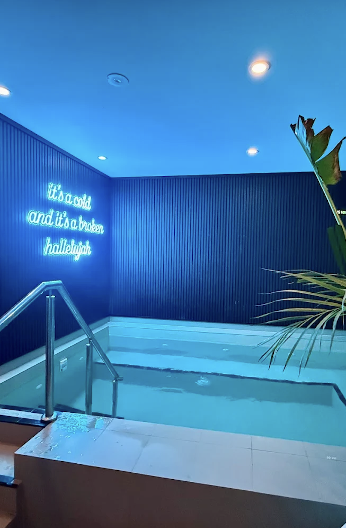 Indoor swimming pool with a blue neon sign on the wall that reads 'it's a cold and it's a broken hallelujah', a plant on the right, and overhead lights.
