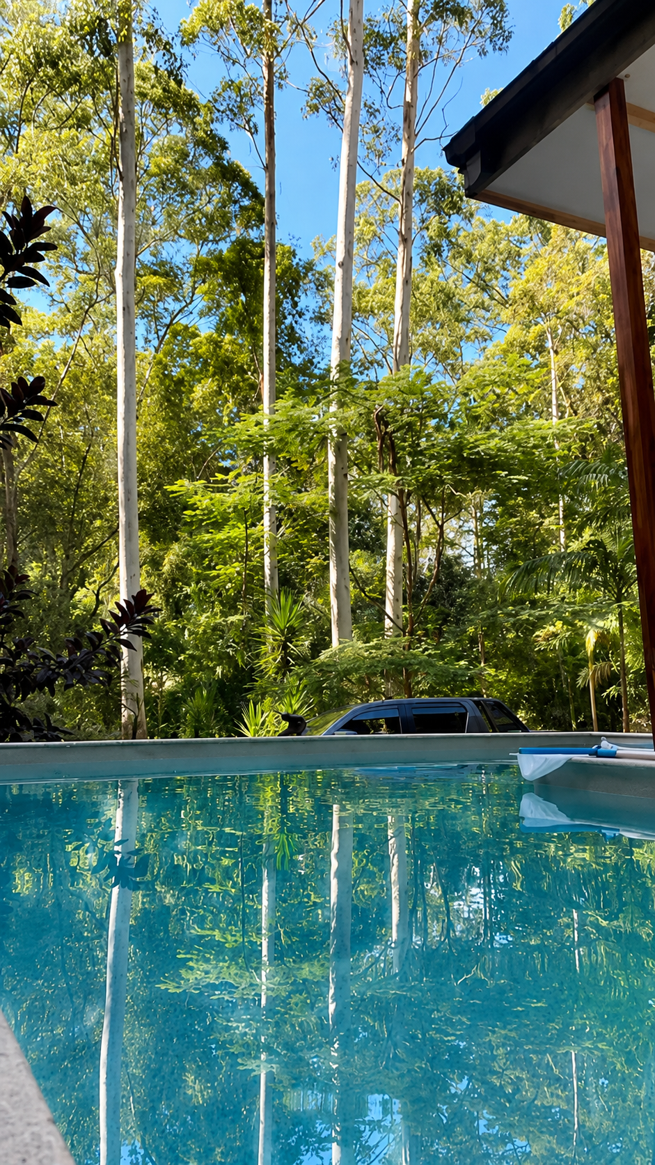 View of a swimming pool with clear blue water, surrounded by lush green forest trees and a partly visible house with a roof and wooden support beams.