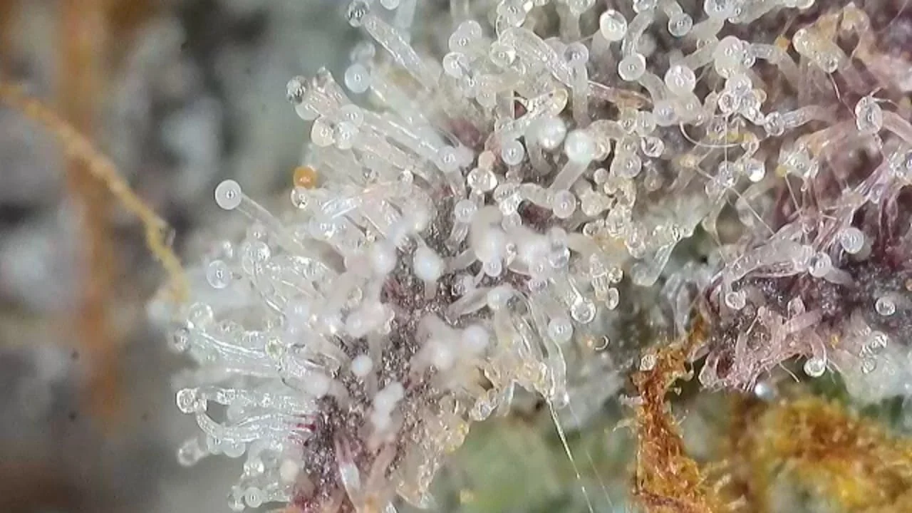 WhatsApp Image 2026-03-23 at 09.27.39 (1).jpeg