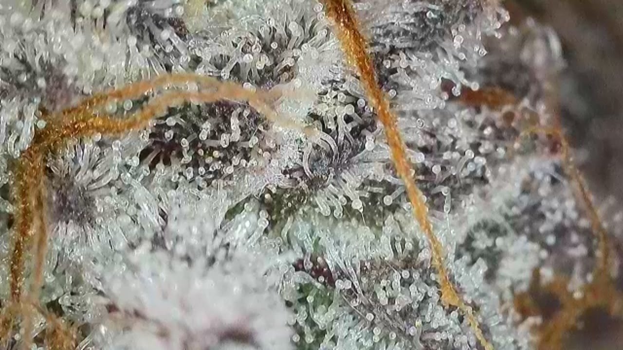 WhatsApp Image 2026-03-23 at 09.27.39 (2).jpeg