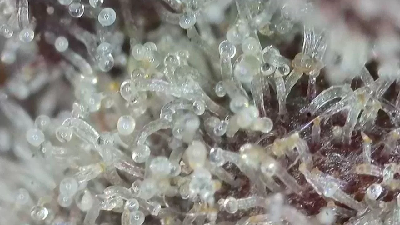 WhatsApp Image 2026-03-23 at 09.27.39.jpeg