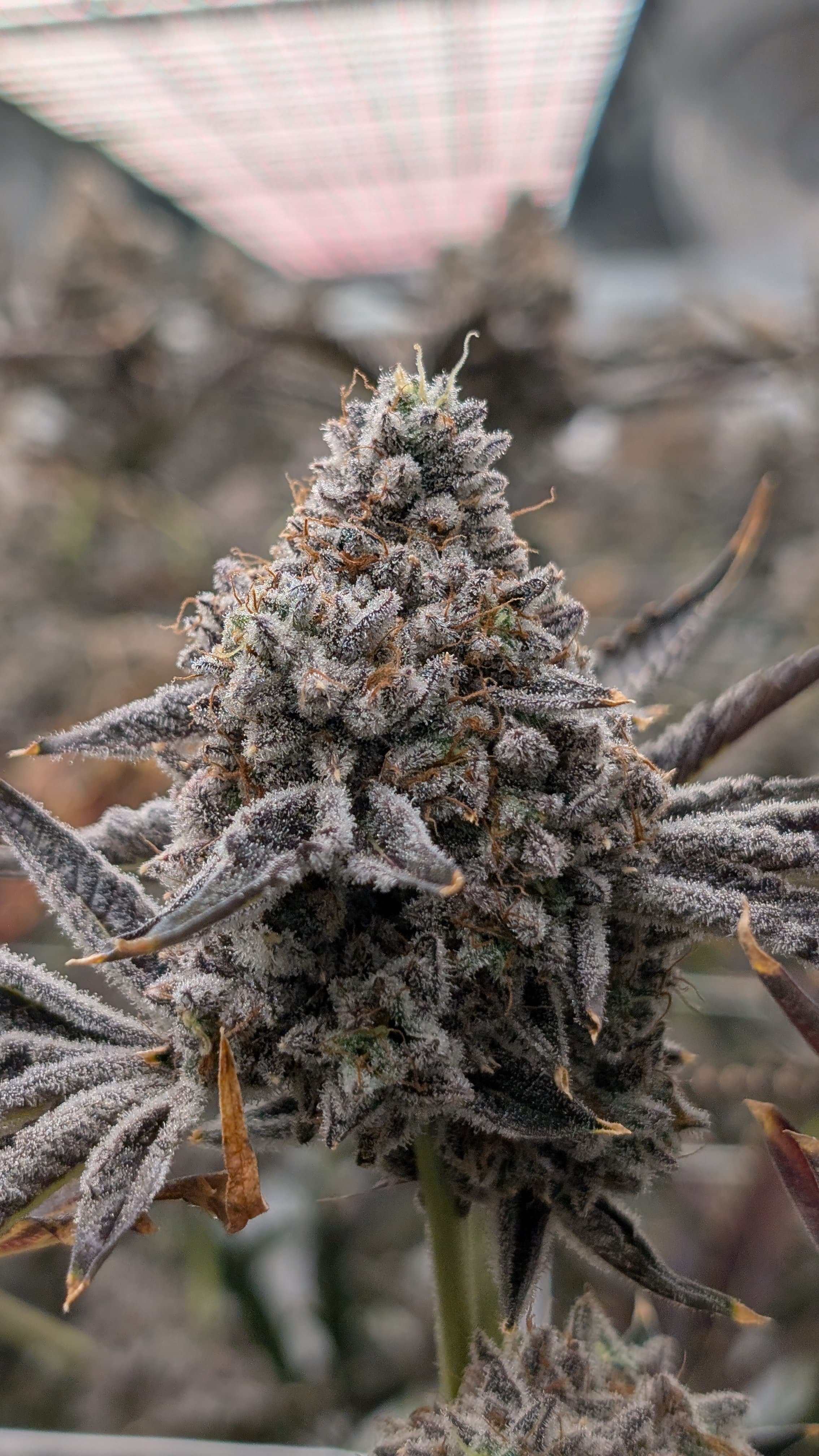 WhatsApp Image 2026-03-23 at 09.27.40 (1).jpeg