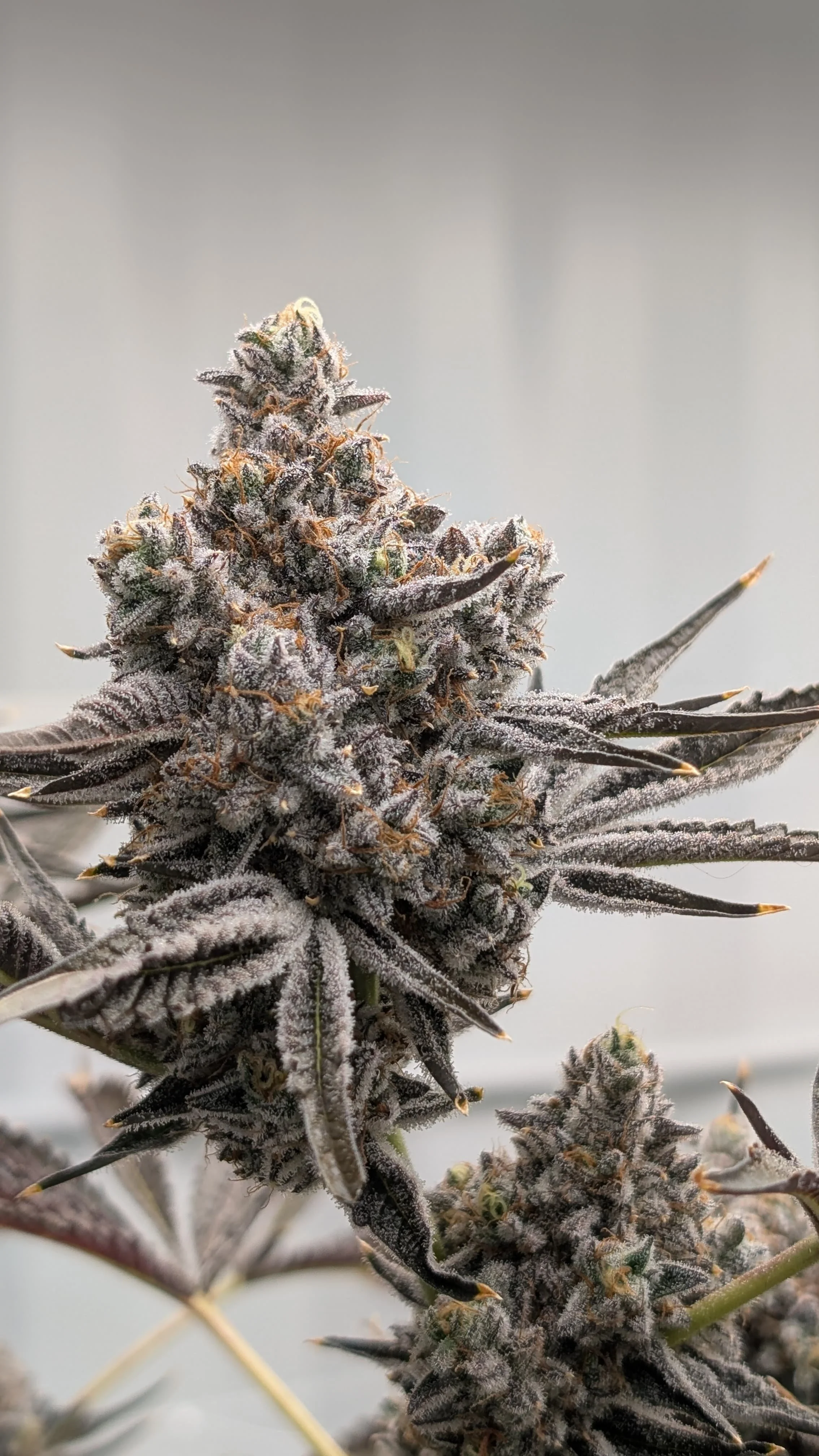 WhatsApp Image 2026-03-23 at 09.27.40 (2).jpeg