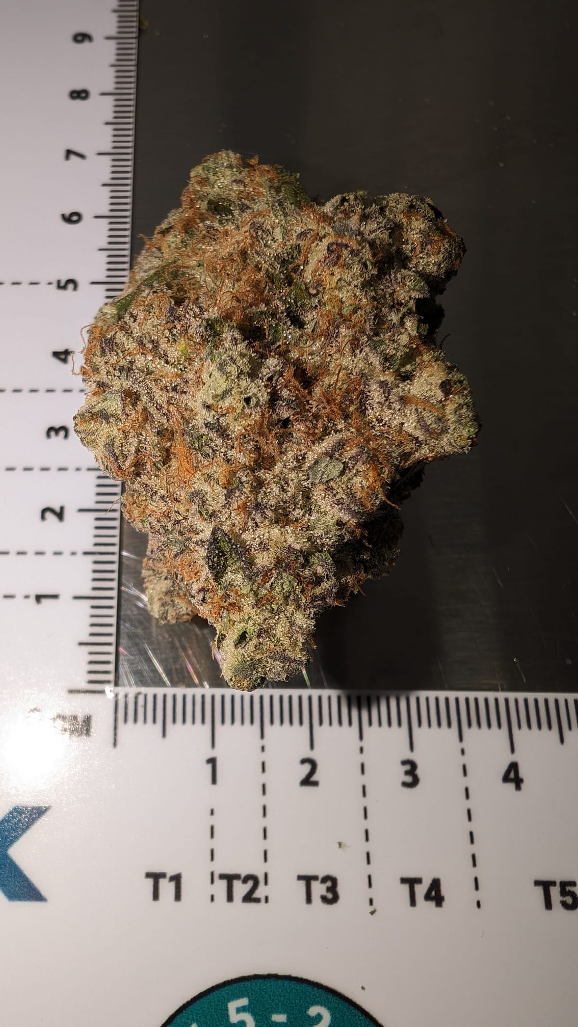 Pasted Graphic 3.png