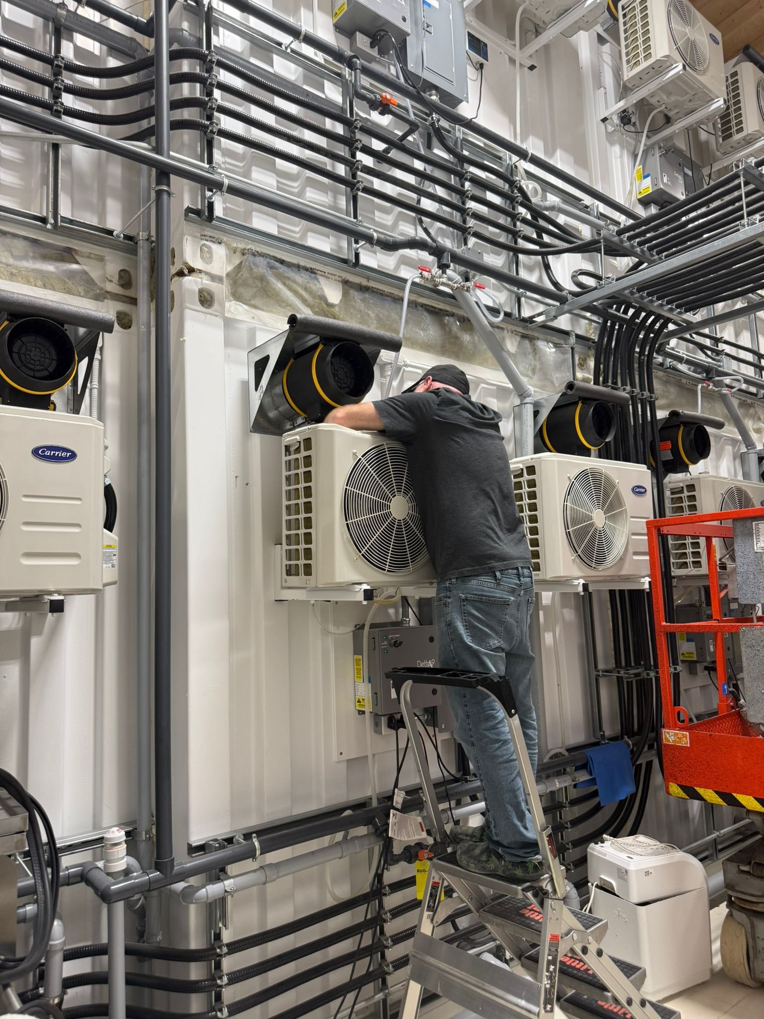 What it Takes to Bring New Bulk Cannabis Cultivation Rooms Online