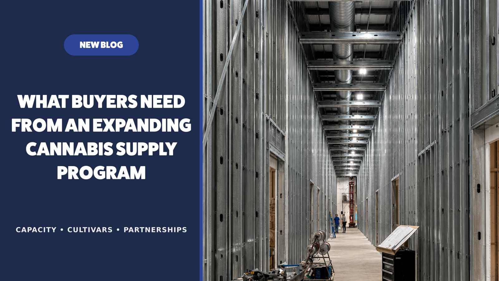 What Buyers Need From an Expanding Cannabis Supply Program