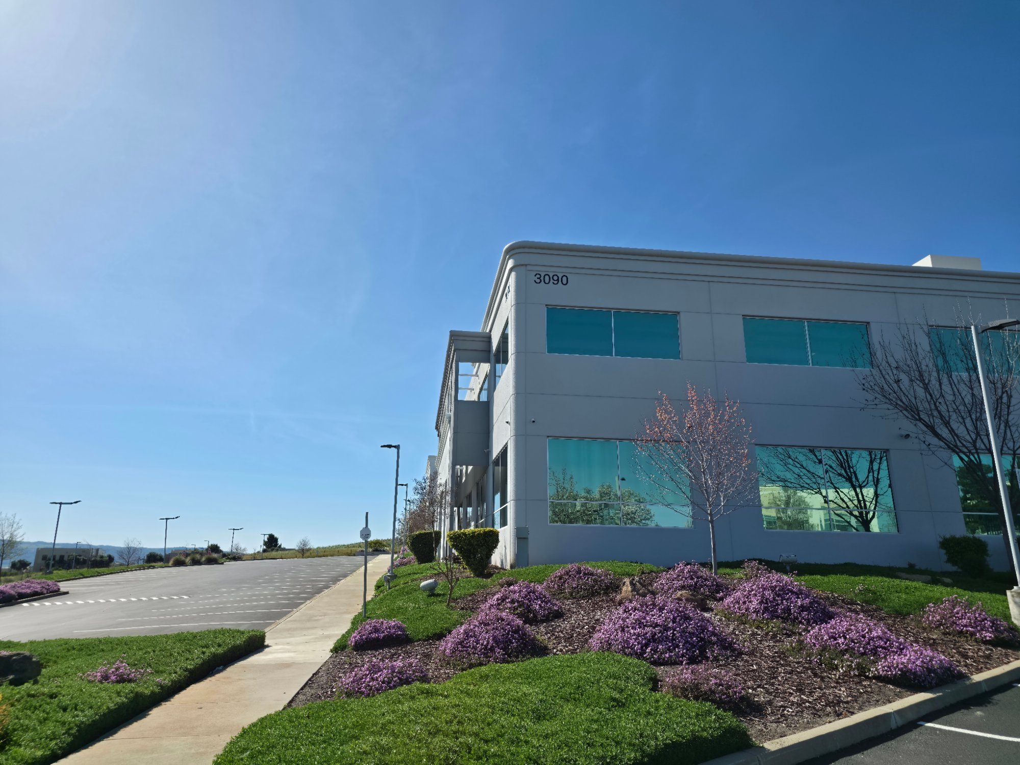 Modern office building with large windows, surrounded by landscaped garden with pink flowering bushes and small trees, under a clear blue sky.