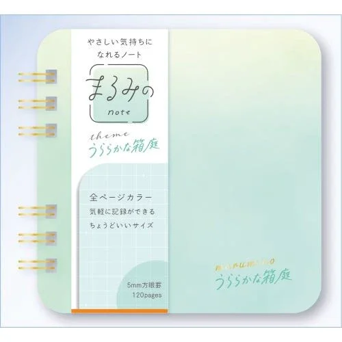 Notebook turquoise.webp