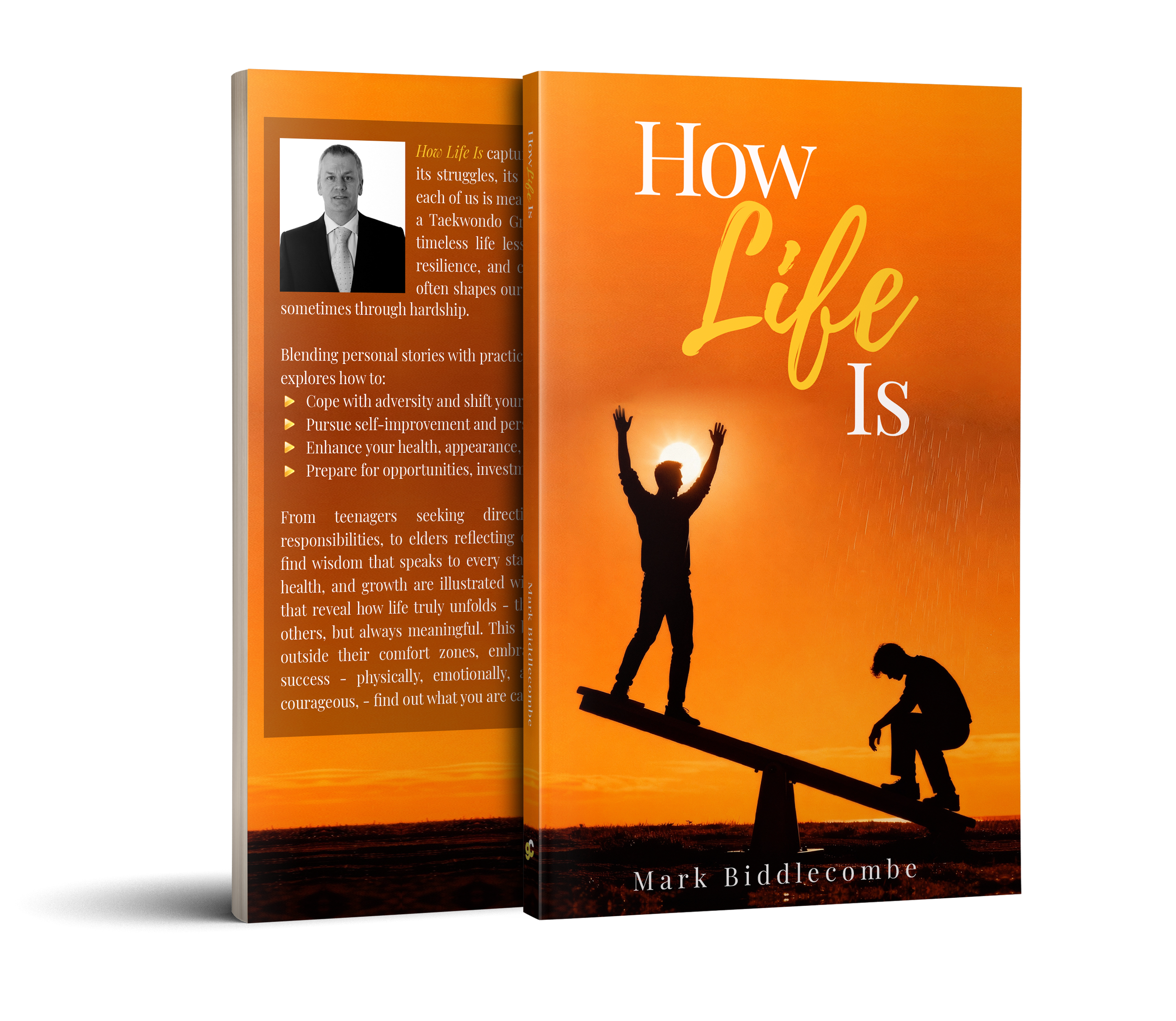 Book titled "How Life Is" by Mark Biddlecombe, featuring a silhouette of a person with raised arms on a seesaw at sunset, with a smaller person crouching on the other side.