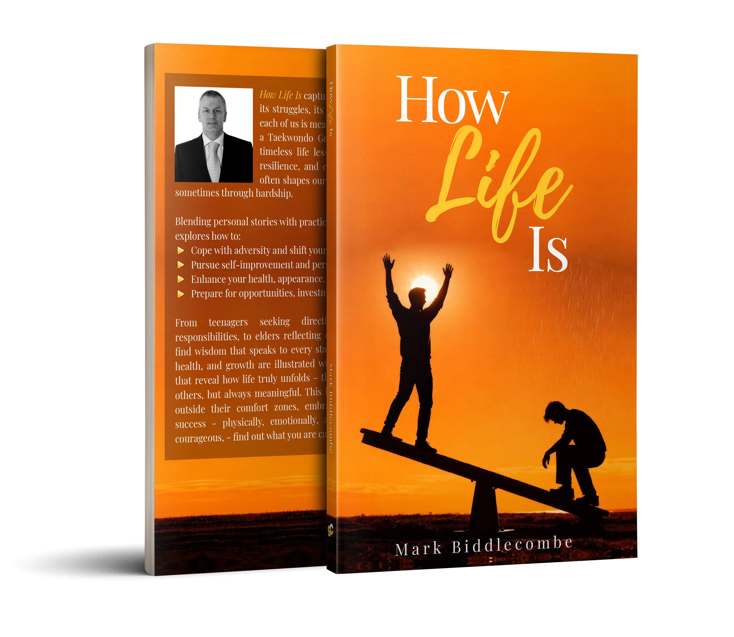The front cover of a book titled "How Life Is" by Mark Biddlecombe, featuring an orange sunset background with silhouettes of a person standing with arms raised on a seesaw, and another person crouching on the other side.