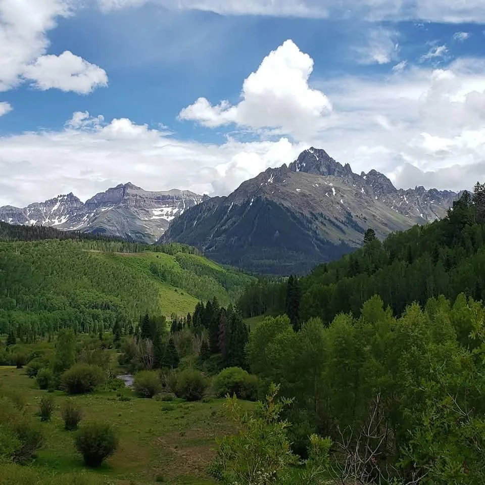 Scenic mountain landscape with lush green forest, snow-capped peaks, and a blue sky with white clouds.
