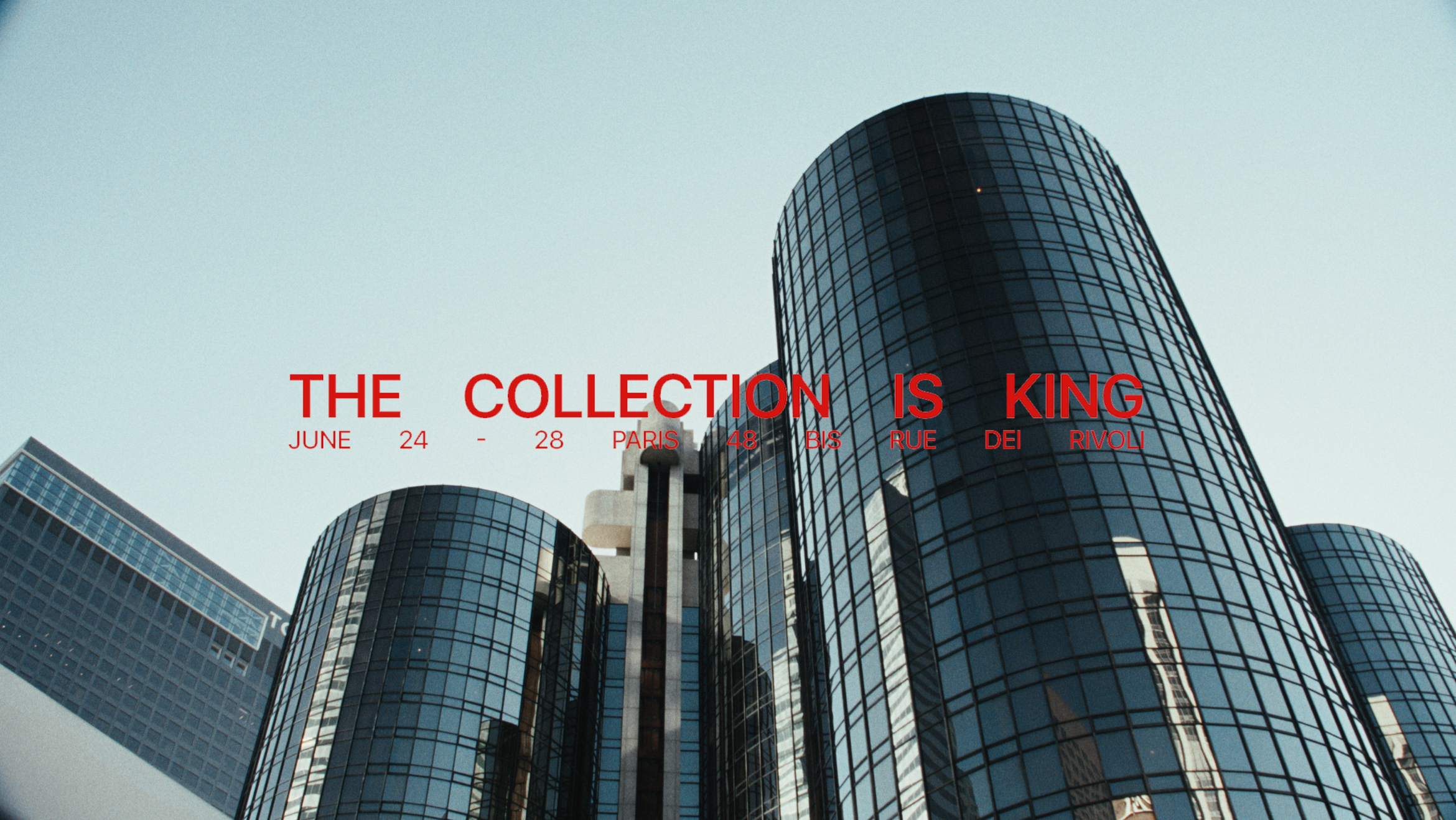The collection is King | rivington roi rebis