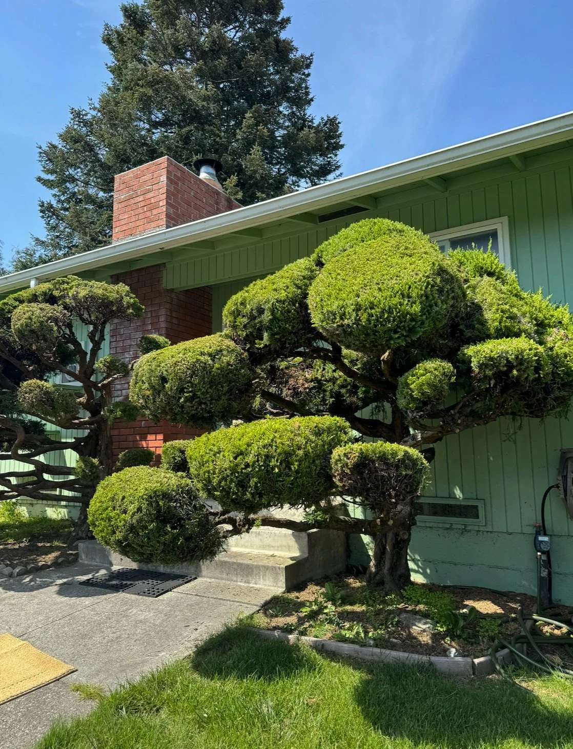 An image of Greenspacing.