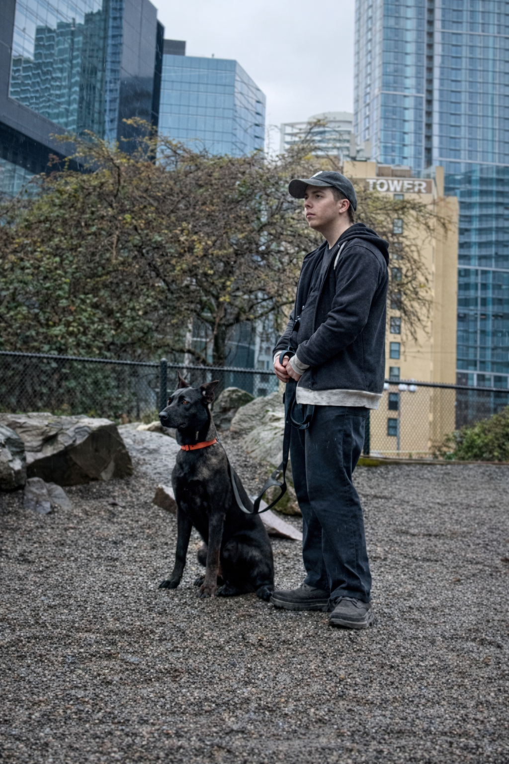 A young man in a black hoodie and jeans stands with a black dog wearing an orange collar in an urban park with tall city buildings and a fence in the background in Seattle