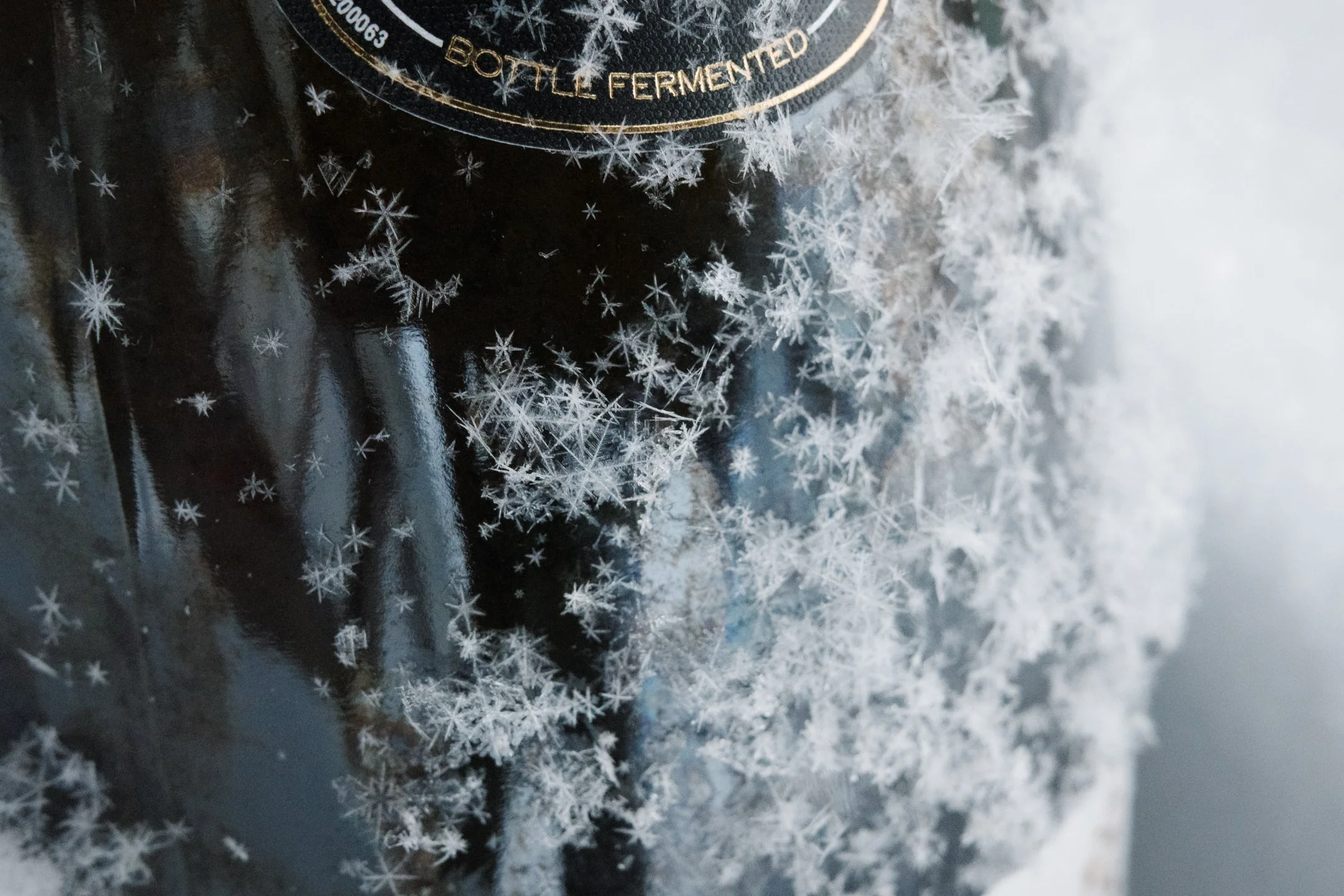 Lasiin jäätynyt etikettin oleva pullo, jonka ympärillä on jääkristalleja.