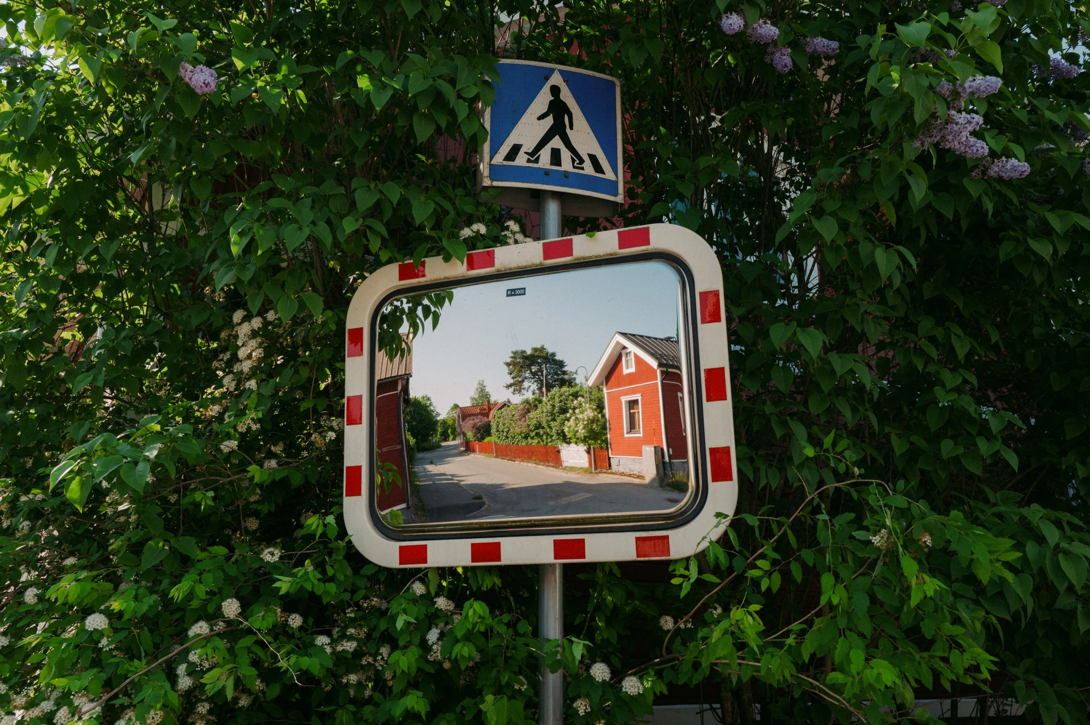 Katuviitta, liikennemerkki ja kadunäkymä heijastuspeilissä, ympärillä vihreitä lehtiä ja kukkia