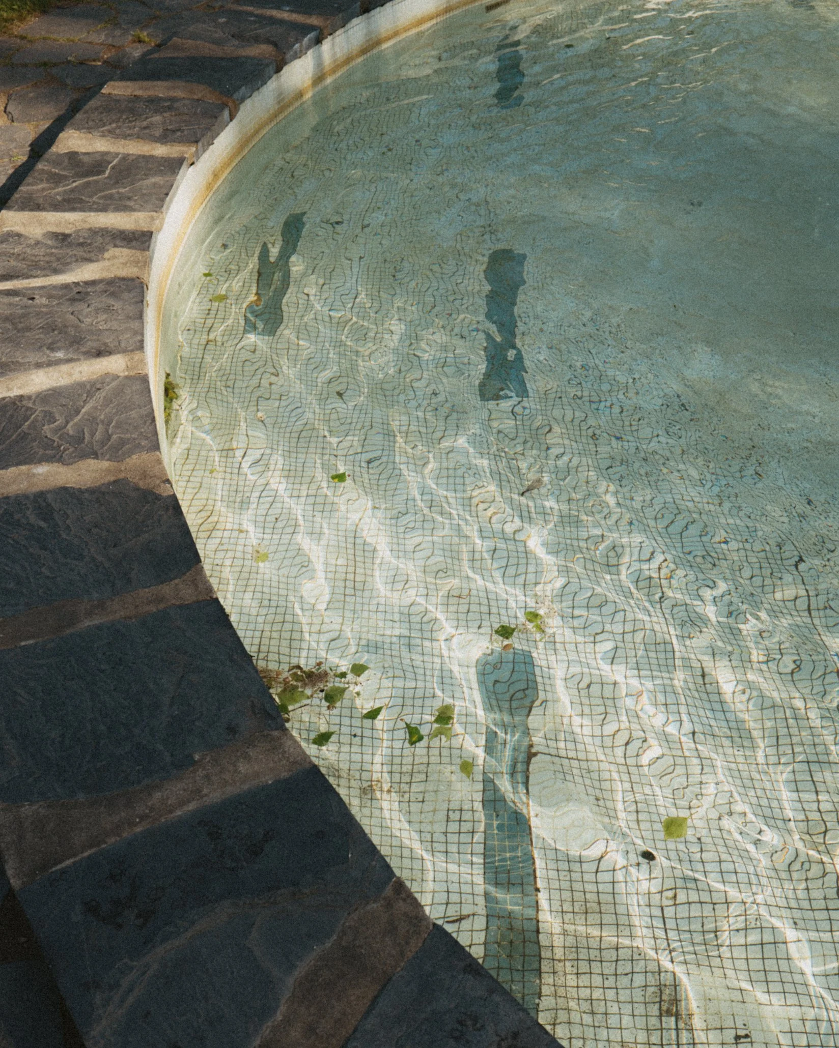 Uima-altaan pohjassa ja varjossa näkyviä ihmishahmoja ja lehtiä vedessä.