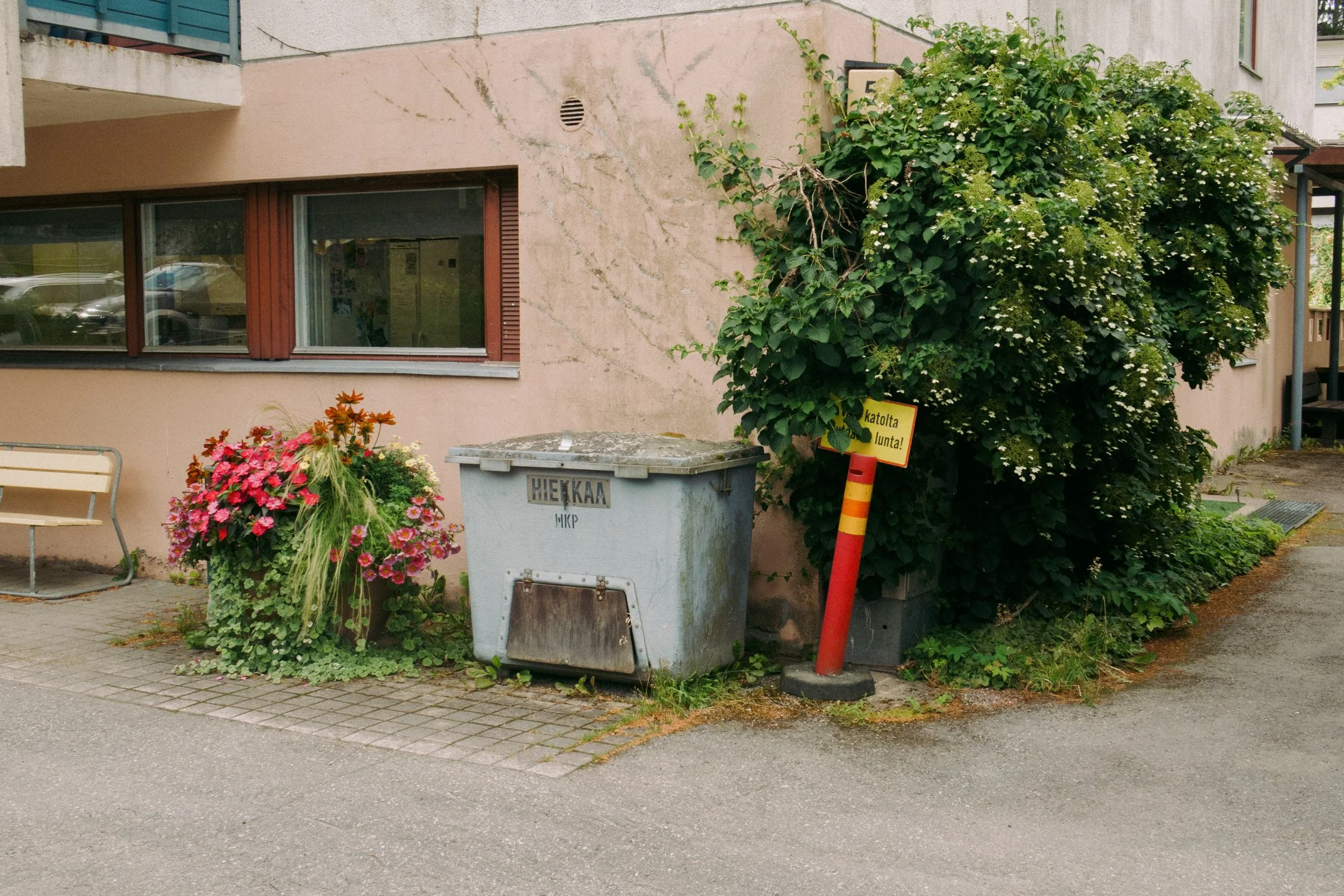 Kuva kadulta, jossa on kukkiva pensas, roskakori ja liikennemerkki, jossa lukee 'kielletty parkkeeraaminen katolta junta!'.