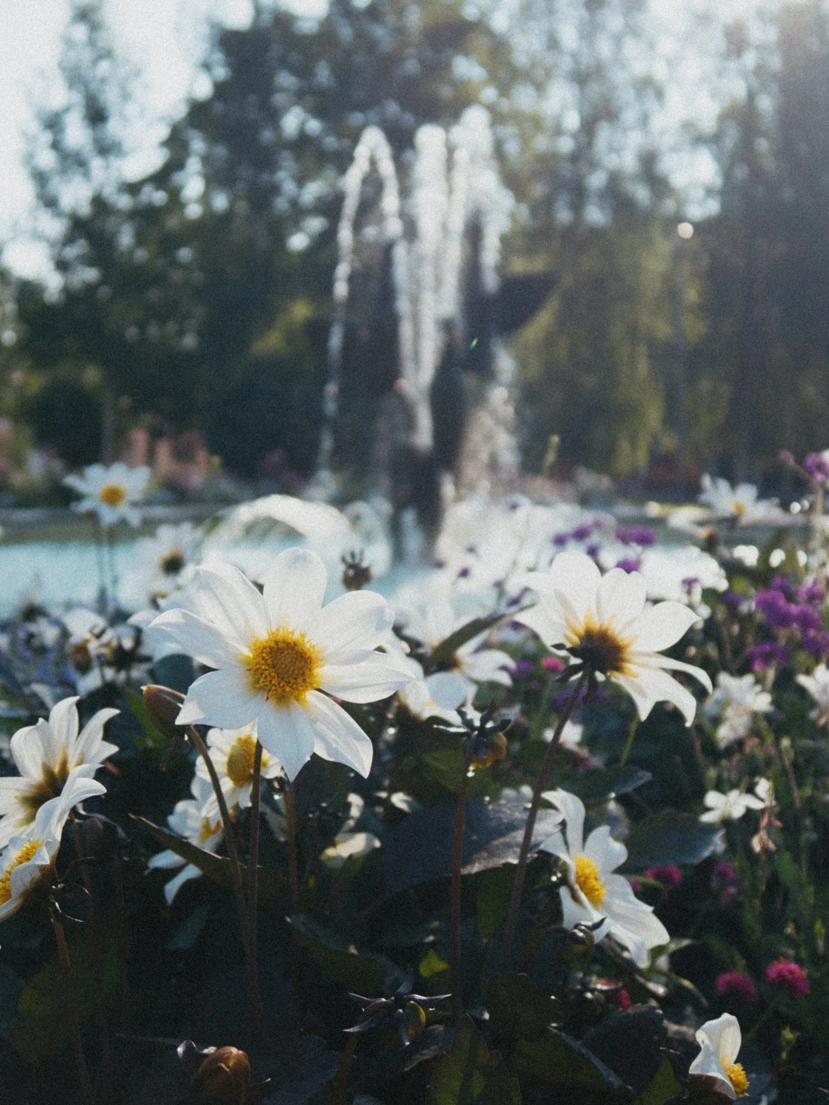 Valokuvassa on kukkia etualalla ja suihkulähde taustalla, ympäröivä luonto ja puut näkyvät taustalla.