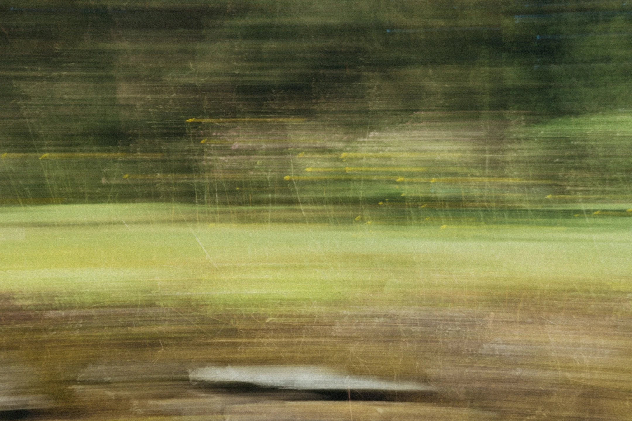 Harva, liukkaasti liikkuva maisemakuva, jossa oli todennäköisesti puita ja nurmikkoa, mutta kuva on epätarkka ja vaikeasti tulkittava.