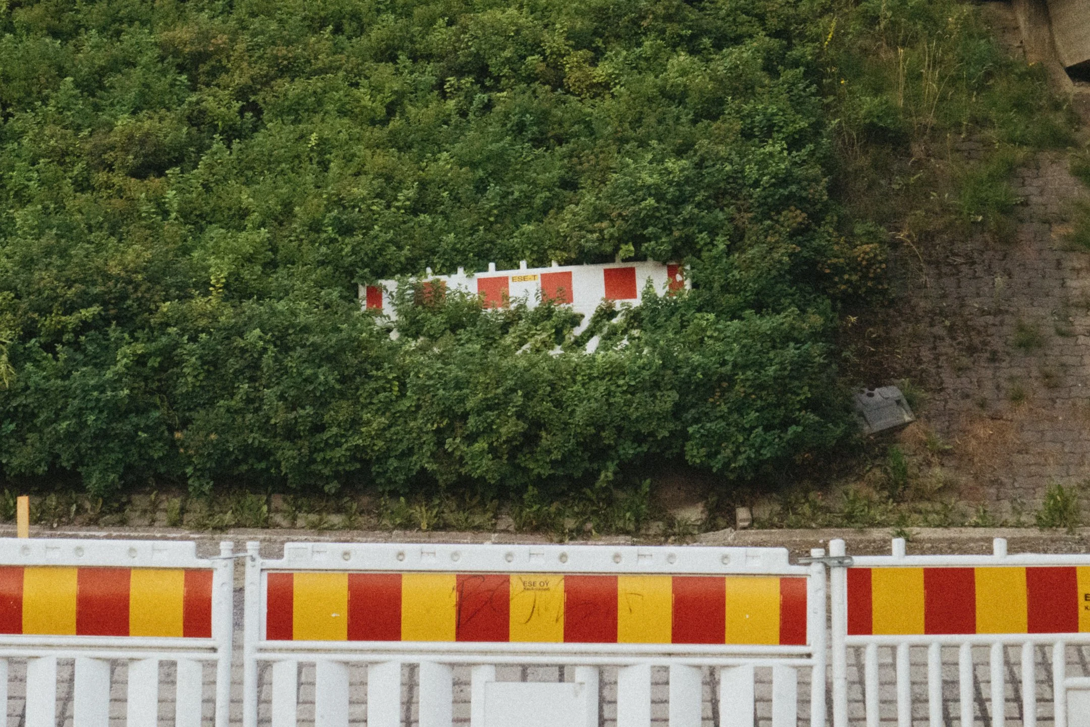 Puutarhassa kasvaa pensaita ja puskia, ja niiden takana on rakennus, jonka seinä on maalattu valkoiseksi ja punaiseksi, ja näkyy teksti 'ESE-T'.