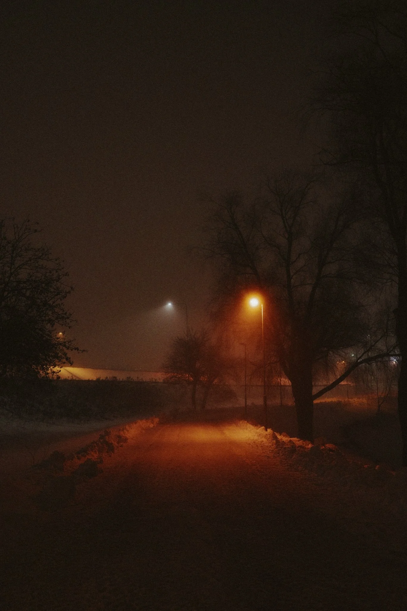 Kuva hämärästä, pimeästä talviyöstä, kävelytieltä, joissa on katuvaloja ja joitakin puita.