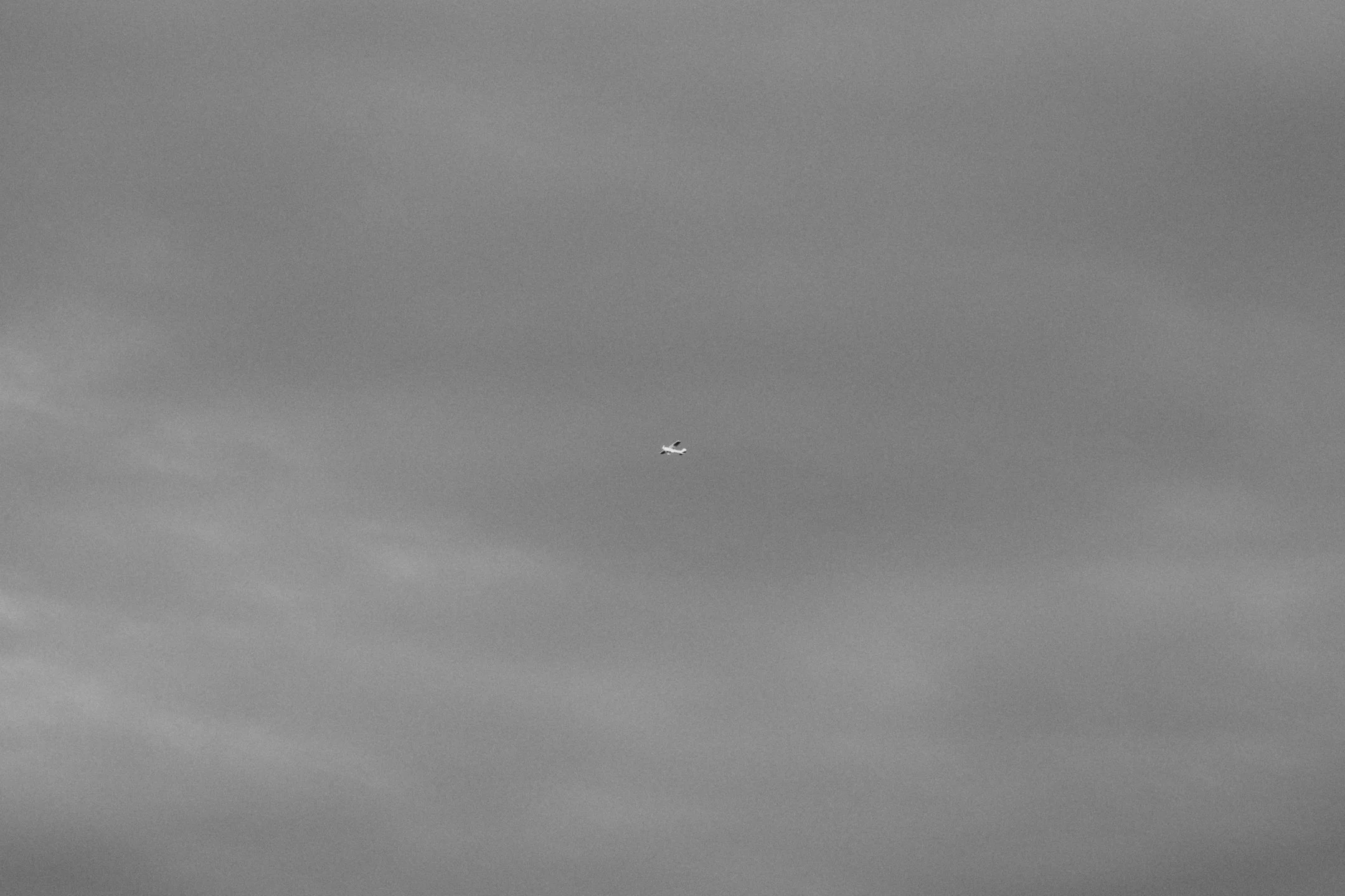 Mustavalkoinen kuva pilvetöntä taivasta ja pieni lentokone keskellä kuvaa.