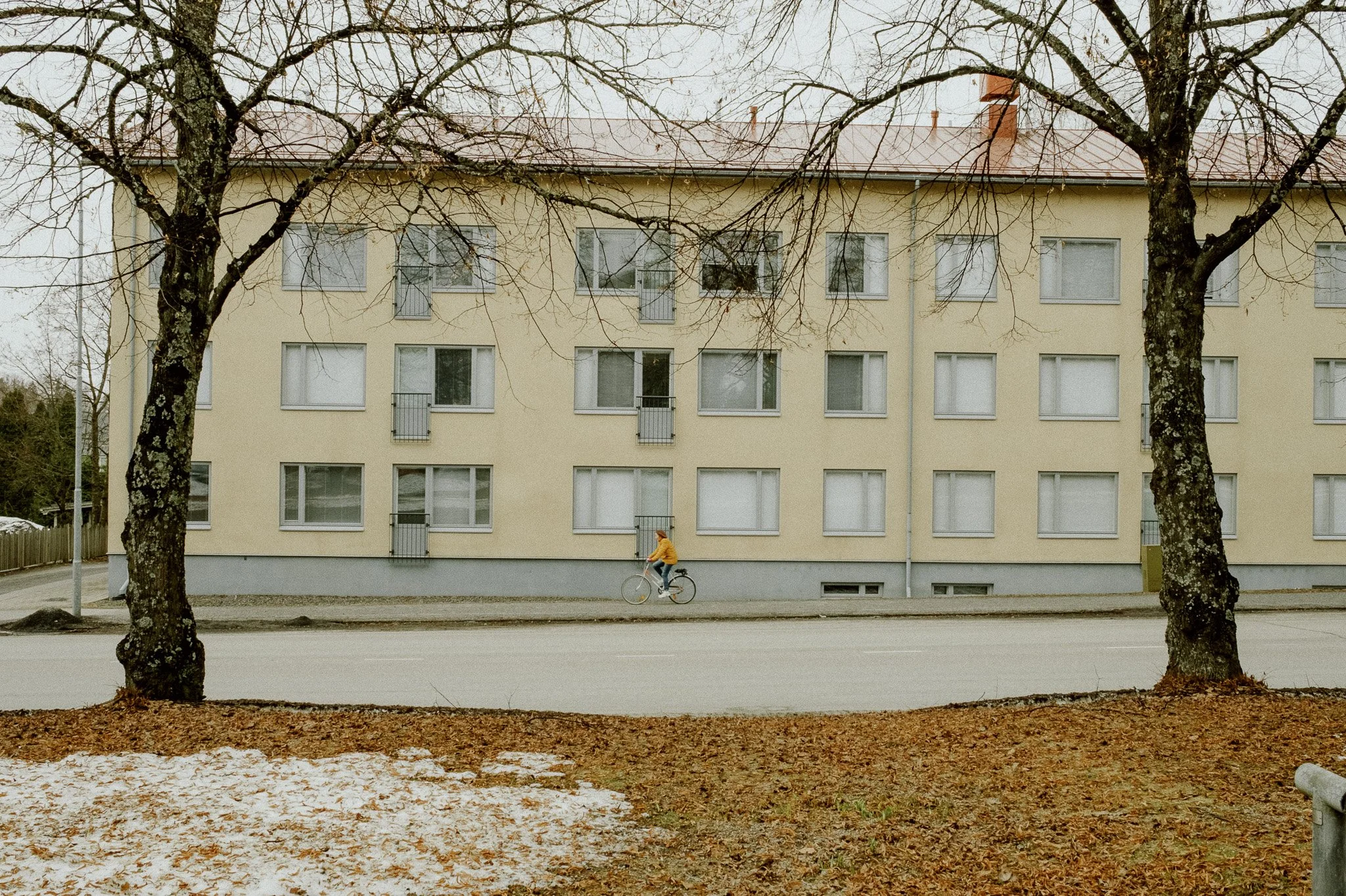 Kuvassa on kerrostalo, kaksi puuta ja polkupyöräilijä kadulla. Talossa on monta ikkunaa ja yksittäisiä parvekkeita.