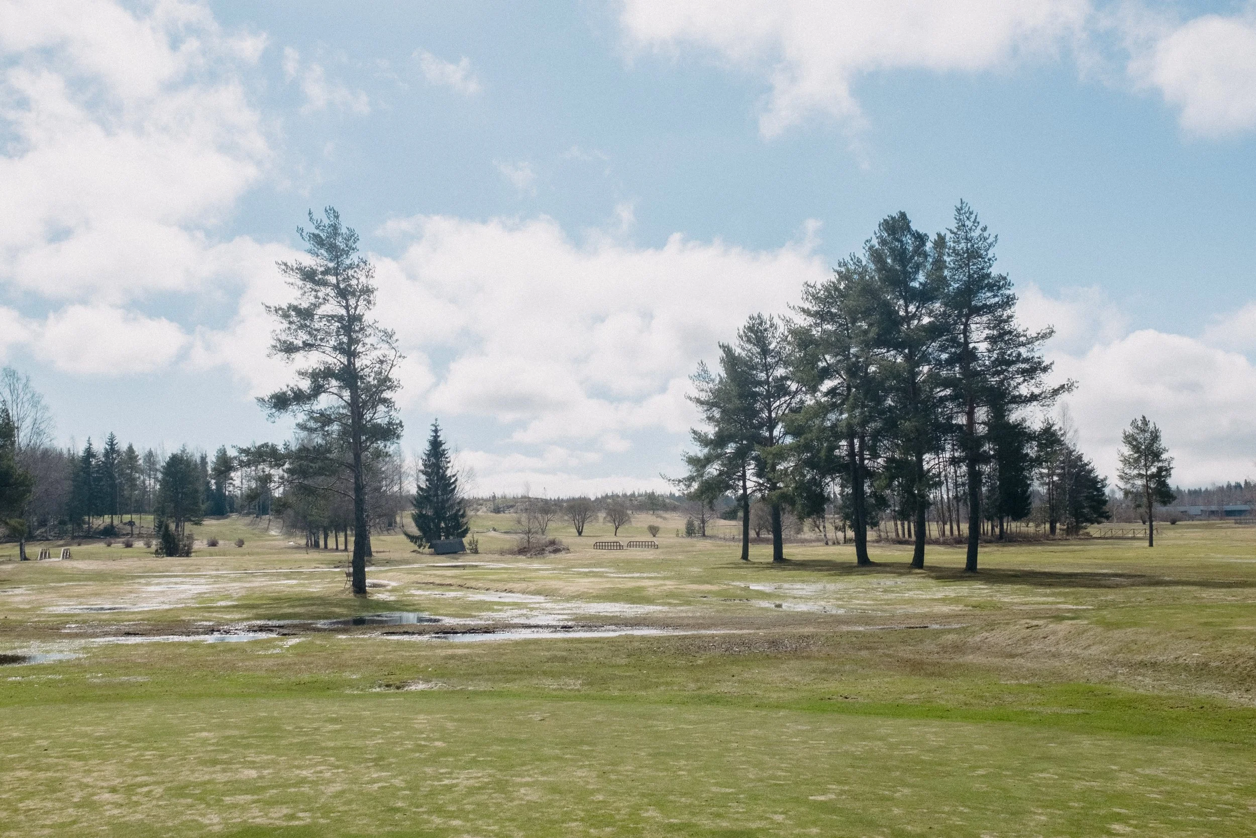 Näkymä laajasta viheralueesta, jossa on useita puita ja pieniä lammikoita, taustalla sininen taivas ja pilviä.