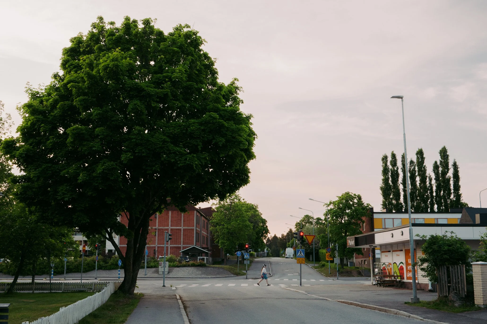Kaupunki, jossa on puut ja rakennukset, ihmisiä kävelemässä risteyksessä, liikennevalot ja katutaulu.