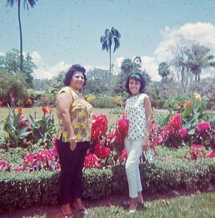 Two women standing in front of a flower garden with pink and purple flowers, trees, and a few palm trees in the background.