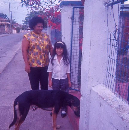 Woman and young girl standing on sidewalk next to a fence with a dog in front of them.