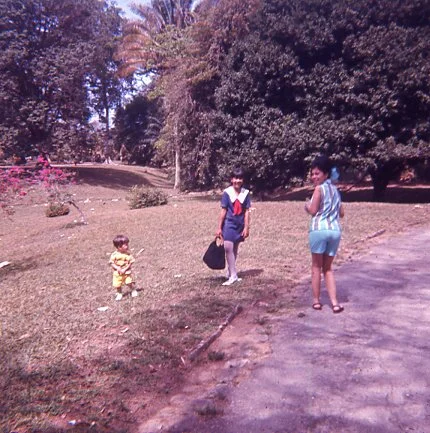 Two women and a small child standing on a grassy area in a park with trees in the background.