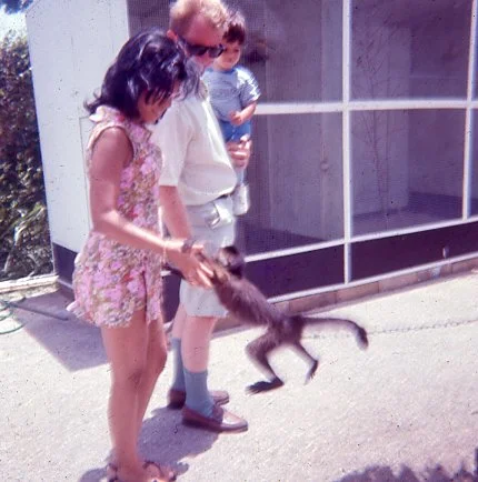 Two children, a girl in a floral dress and a boy with sunglasses, are holding a raccoon on a leash outside near a screened porch.