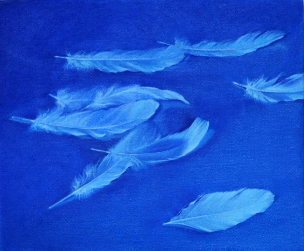 Scattered White Feathers in Blue Light 2012.jpg
