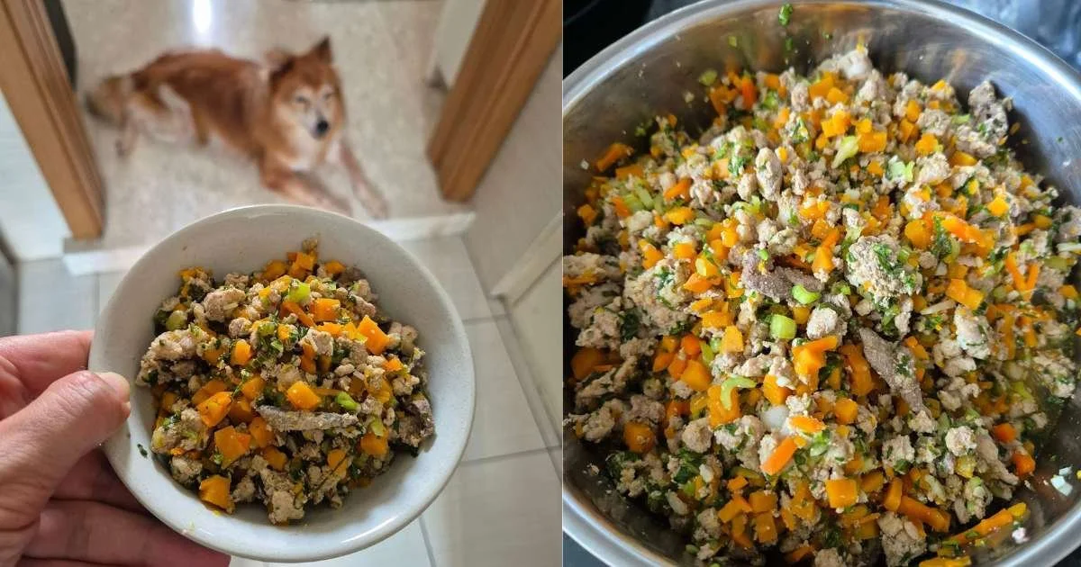 Low-Phosphorus Dog Food for Early Stage Kidney Disease