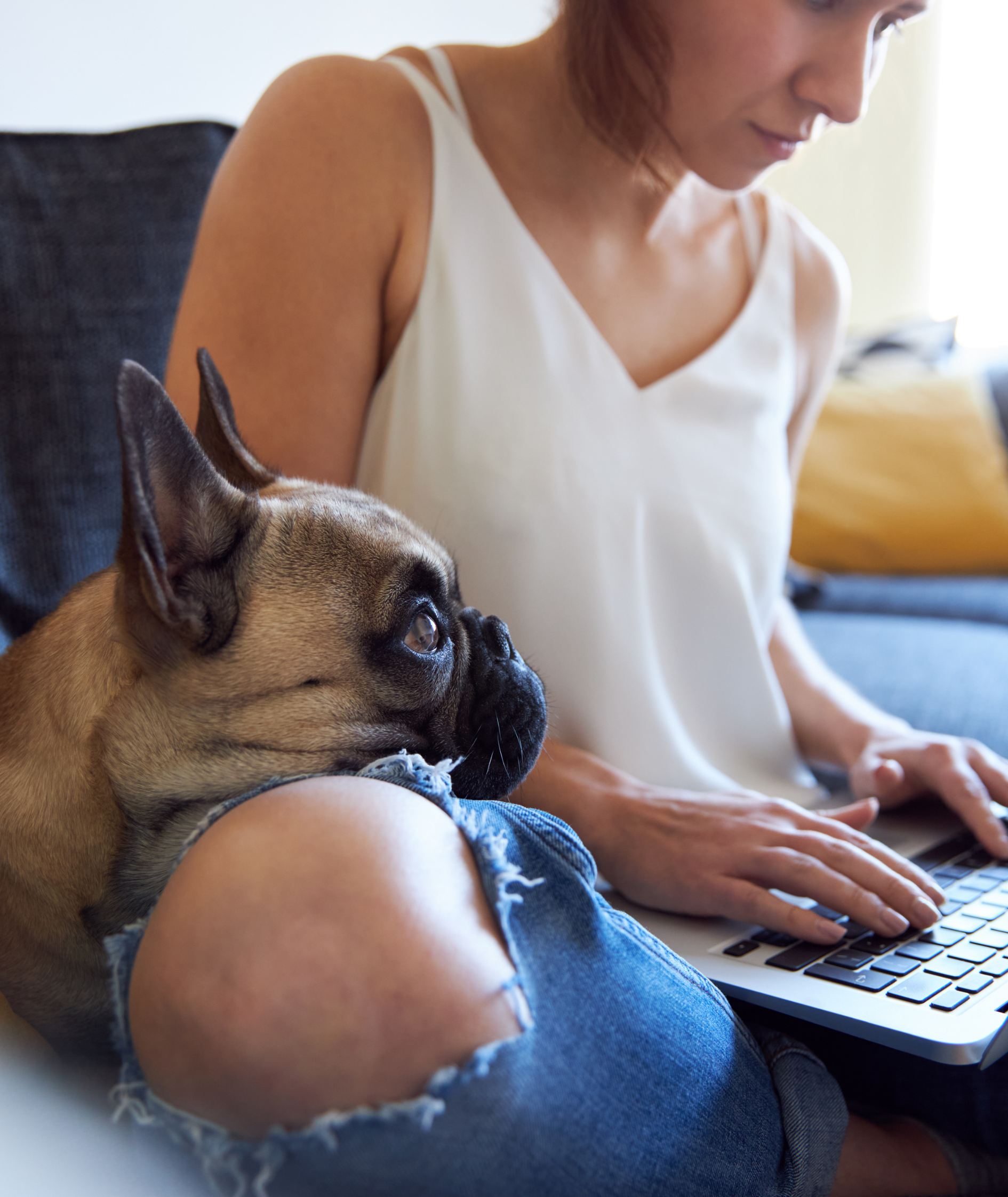 Owner and dog on virutal pet nutrition consultation