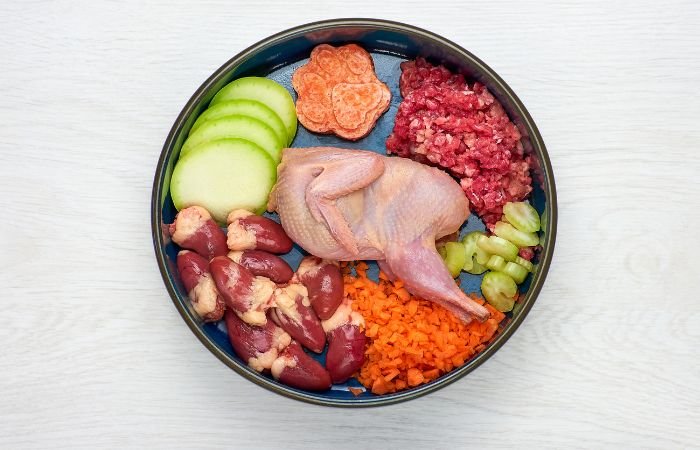 Fresh ingredients - quail, chopped carrots, sliced zucchini, minced meat and chicken heart, supplement - in a pet food bowl