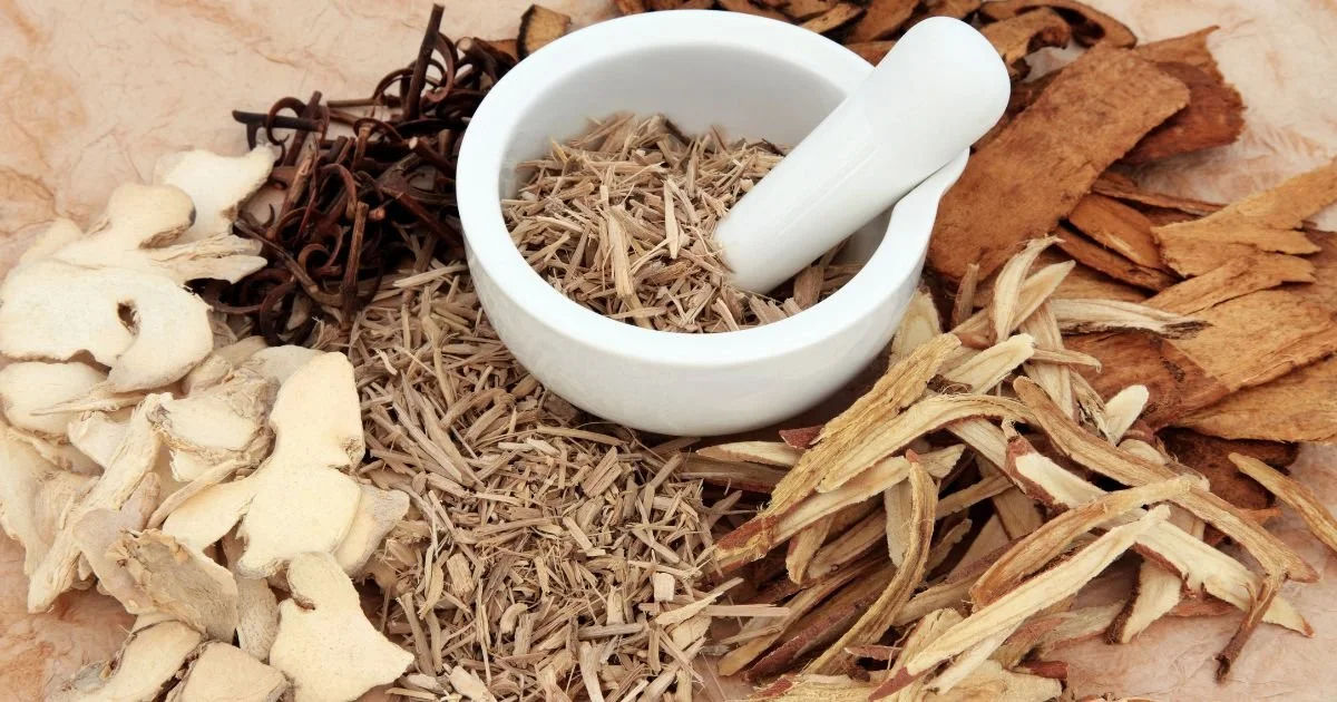Chinese Herbs for Senior Dogs