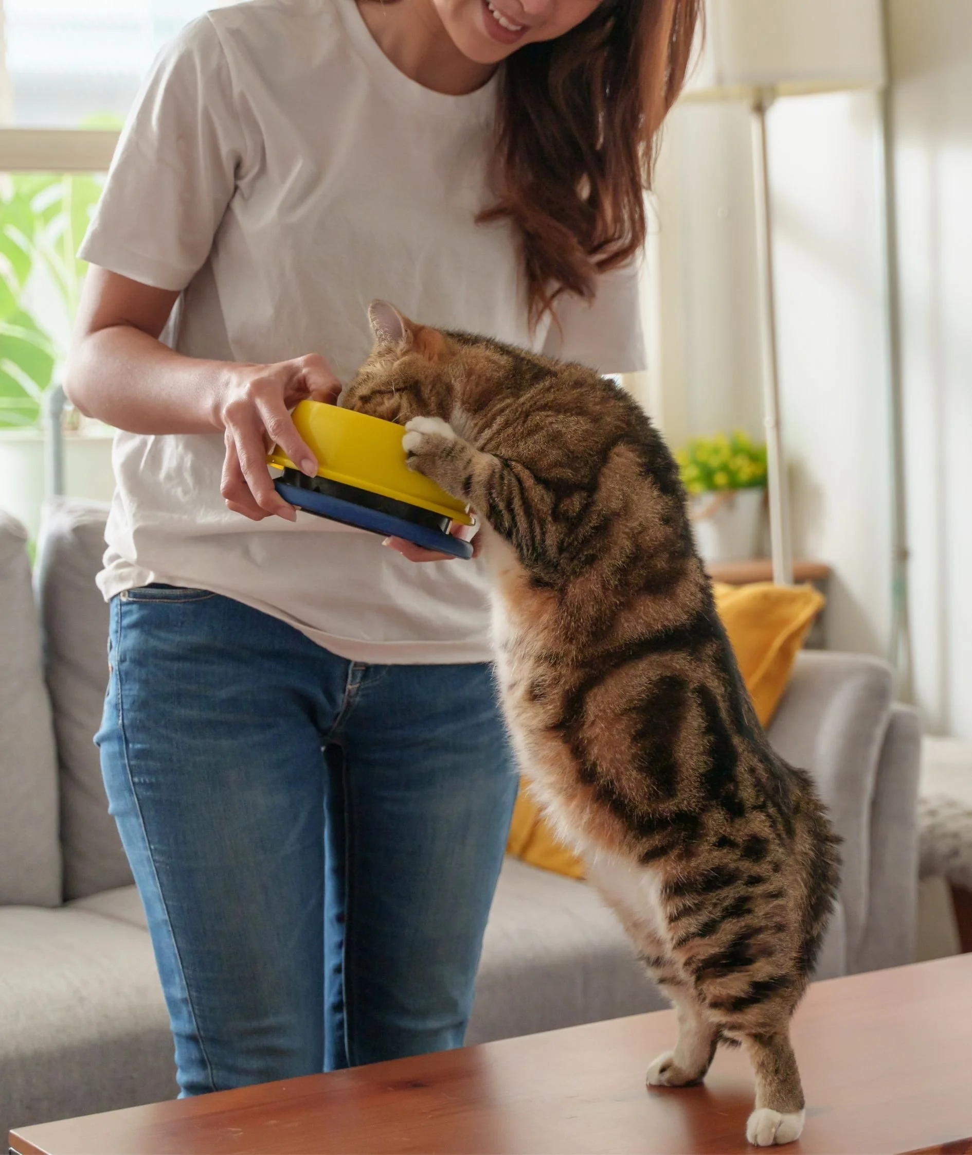 A woman with red hair, wearing a white shirt and blue jeans, standing next to a wooden table, is giving a treat to a large tabby cat standing on its hind legs with its paws on the table, in a well-lit room.